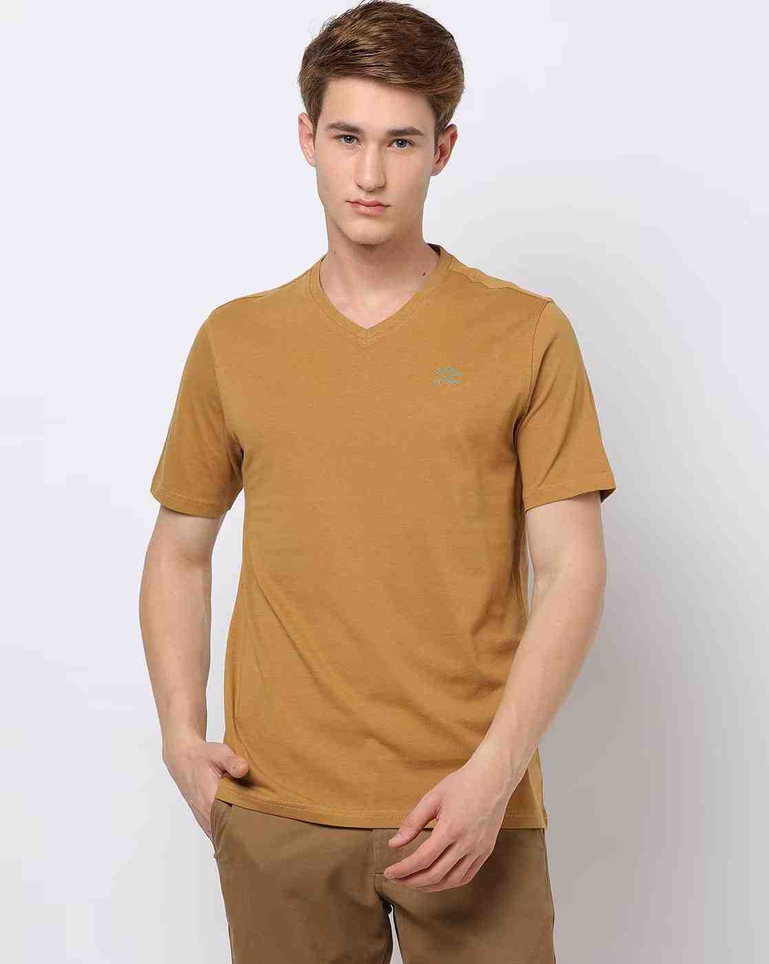 Regular Fit V-Neck T-Shirt with Logo Print
