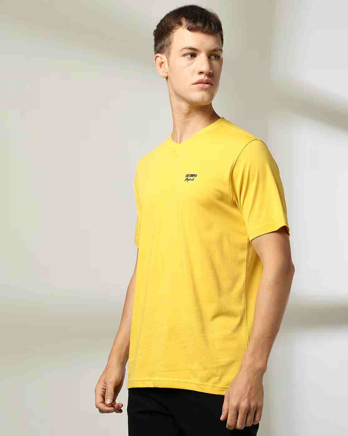Men Regular Fit V-Neck T-Shirt
