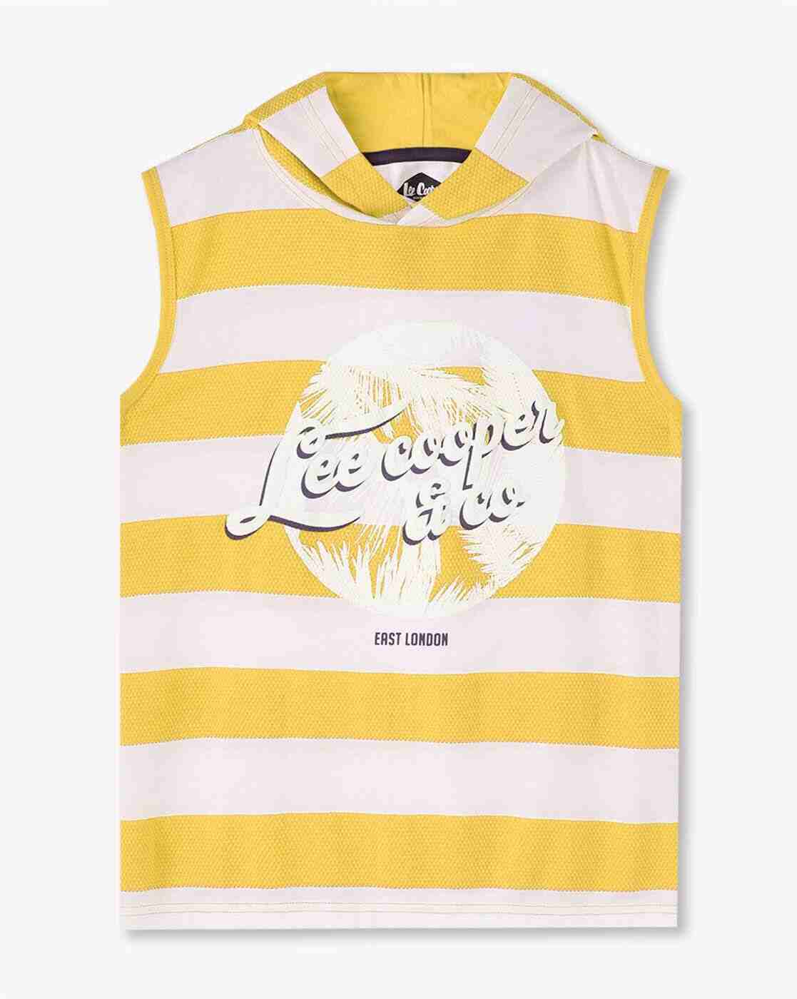 Boys Striped Regular Fit Hooded T-Shirt
