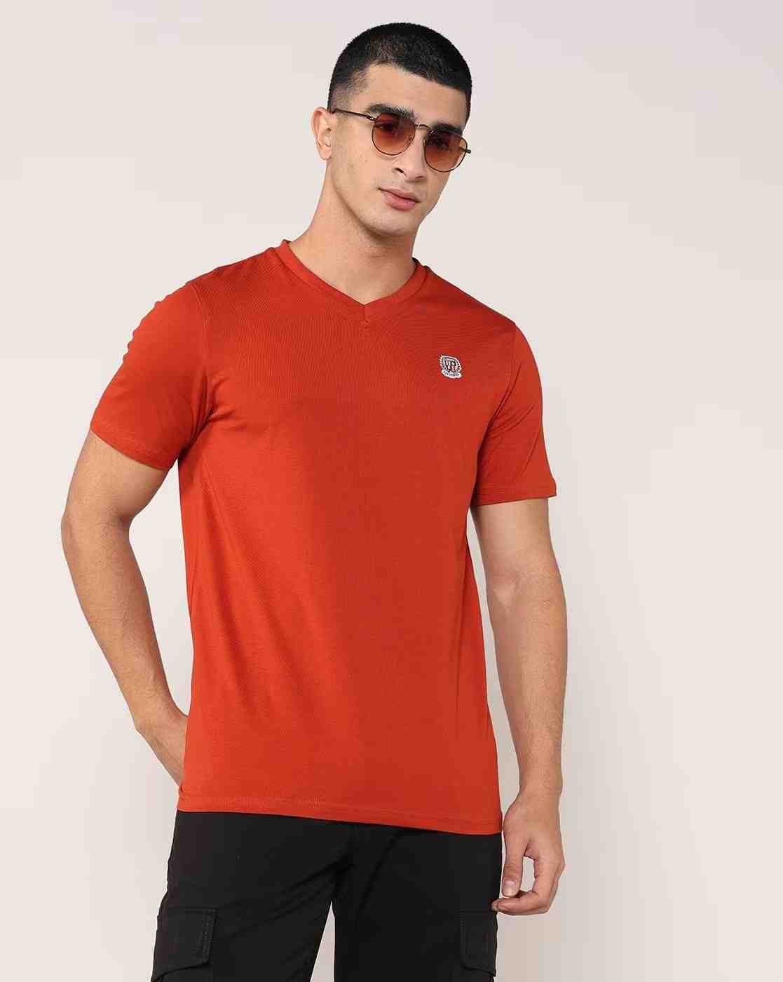 Men Regular Fit V-Neck T-Shirt