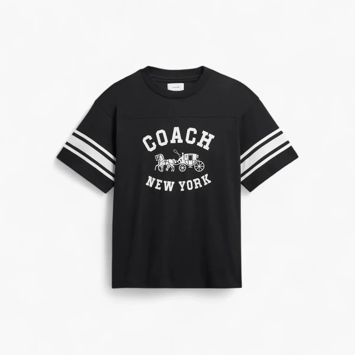 Horse And Carriage Relaxed T-Shirt In Organic Cotton