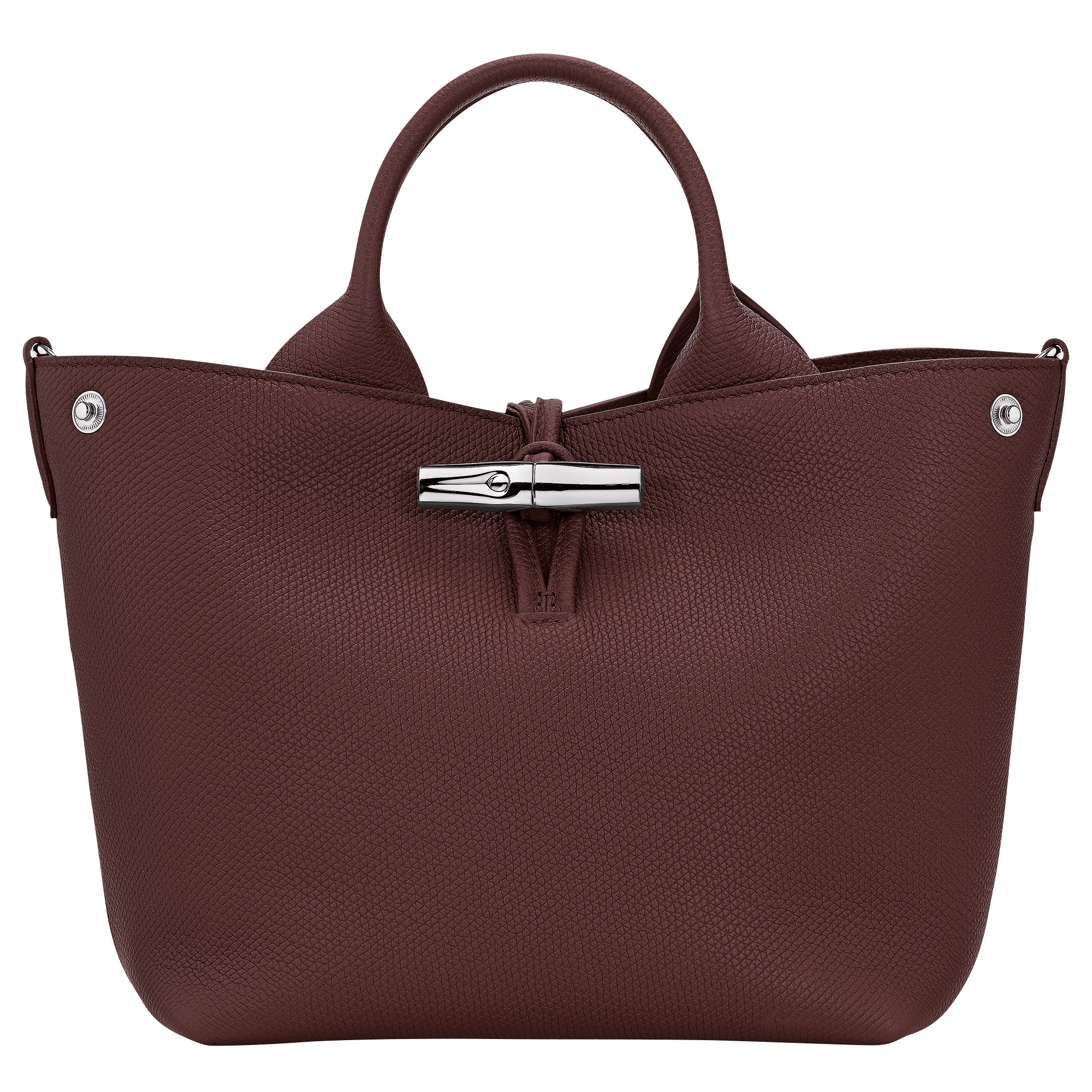 Le Roseau S Handbag