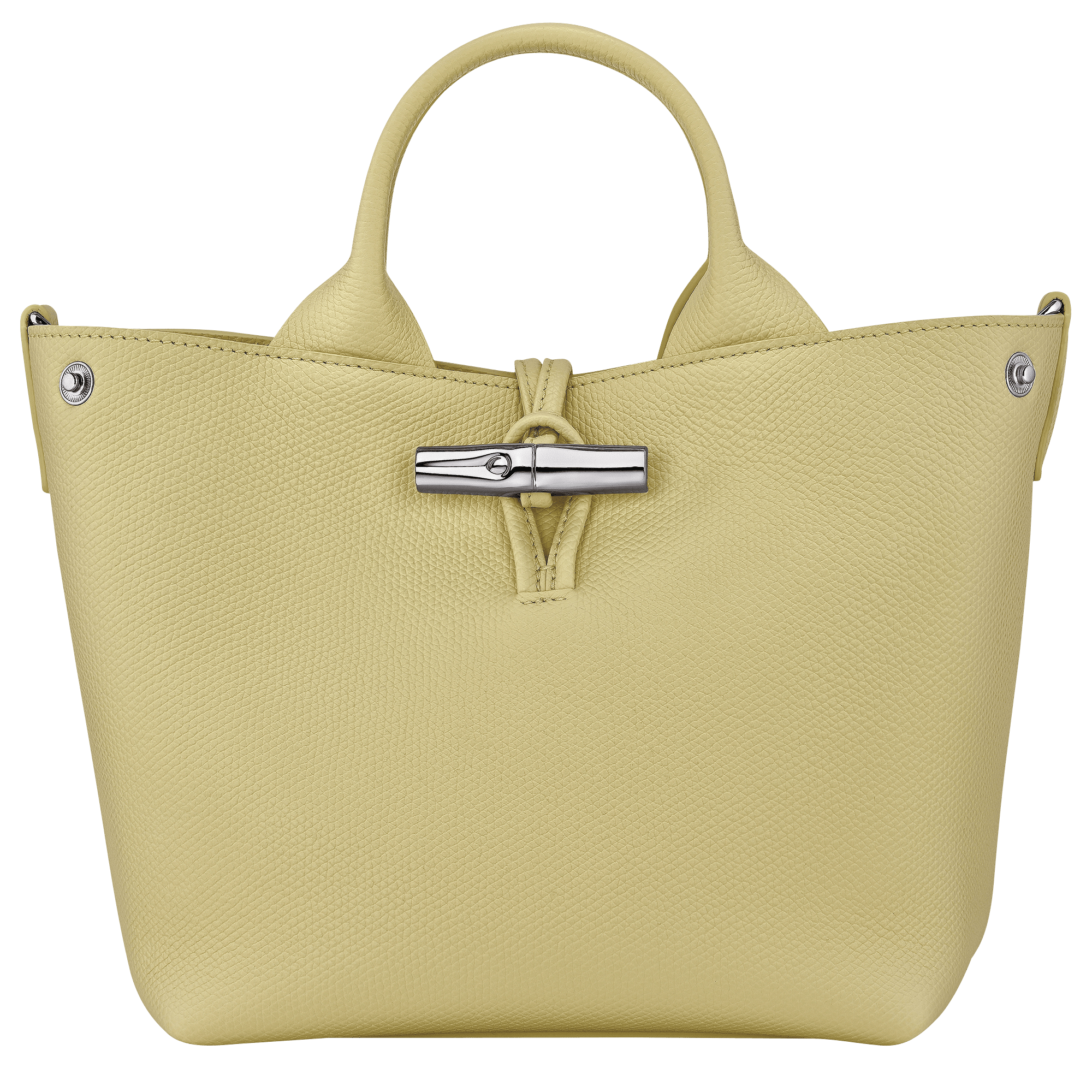 Le Roseau S Handbag