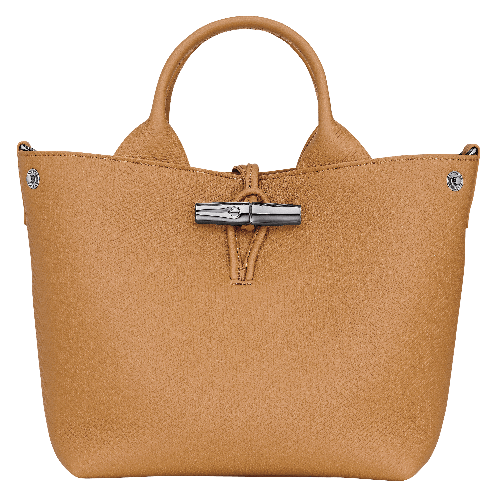 Le Roseau S Handbag