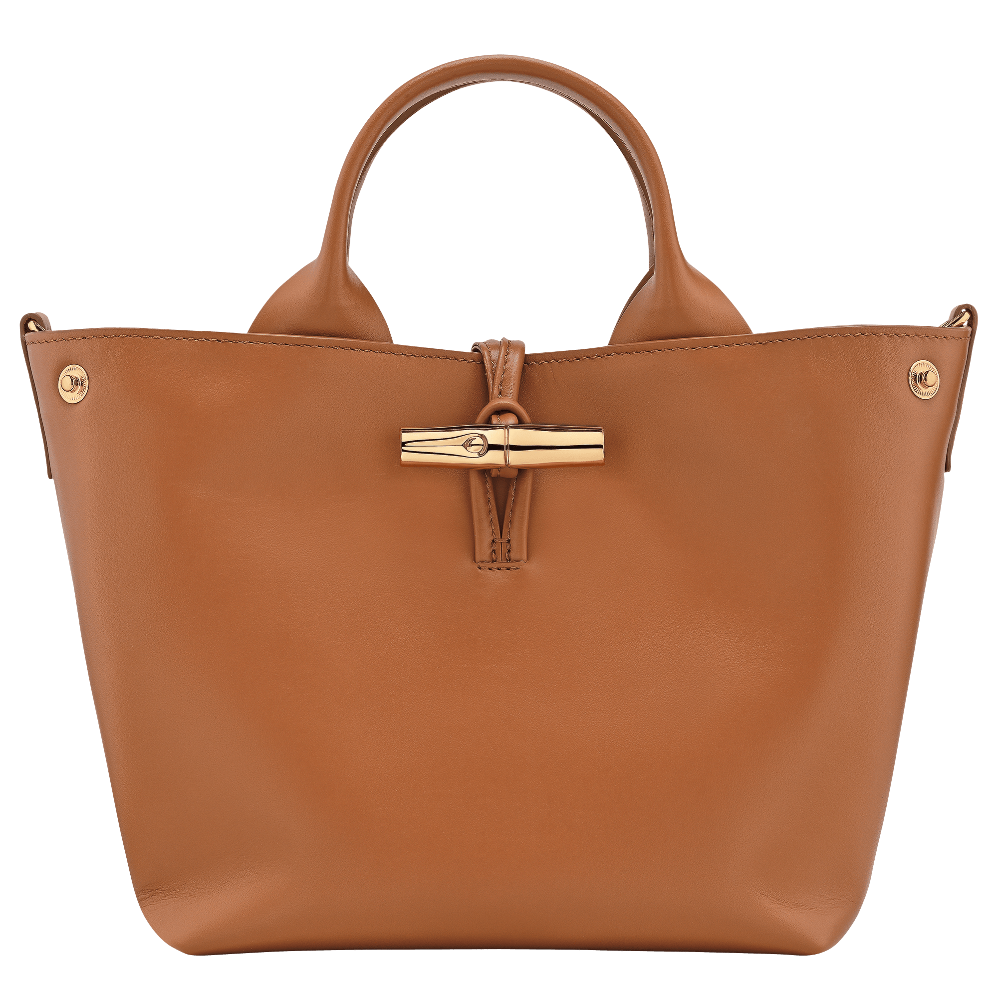 Le Roseau S Handbag