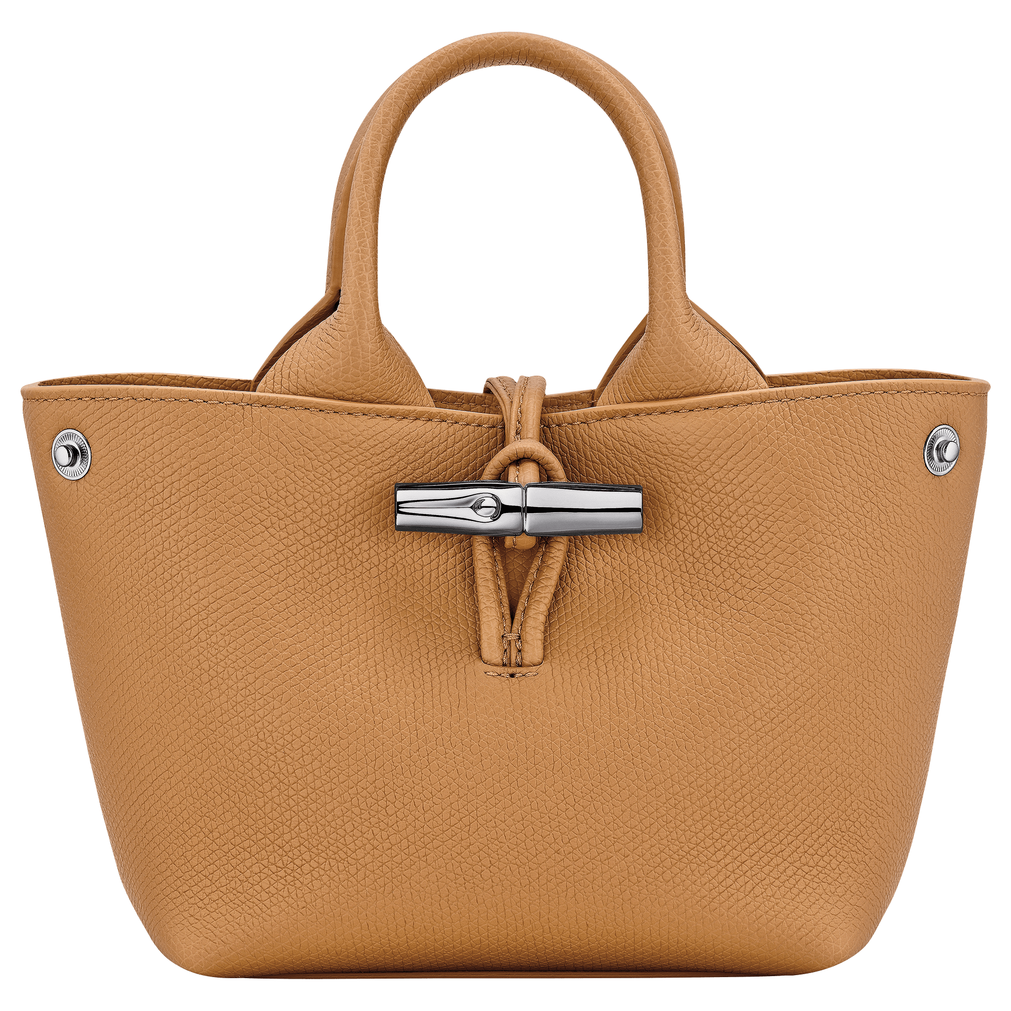 Le Roseau XS Handbag