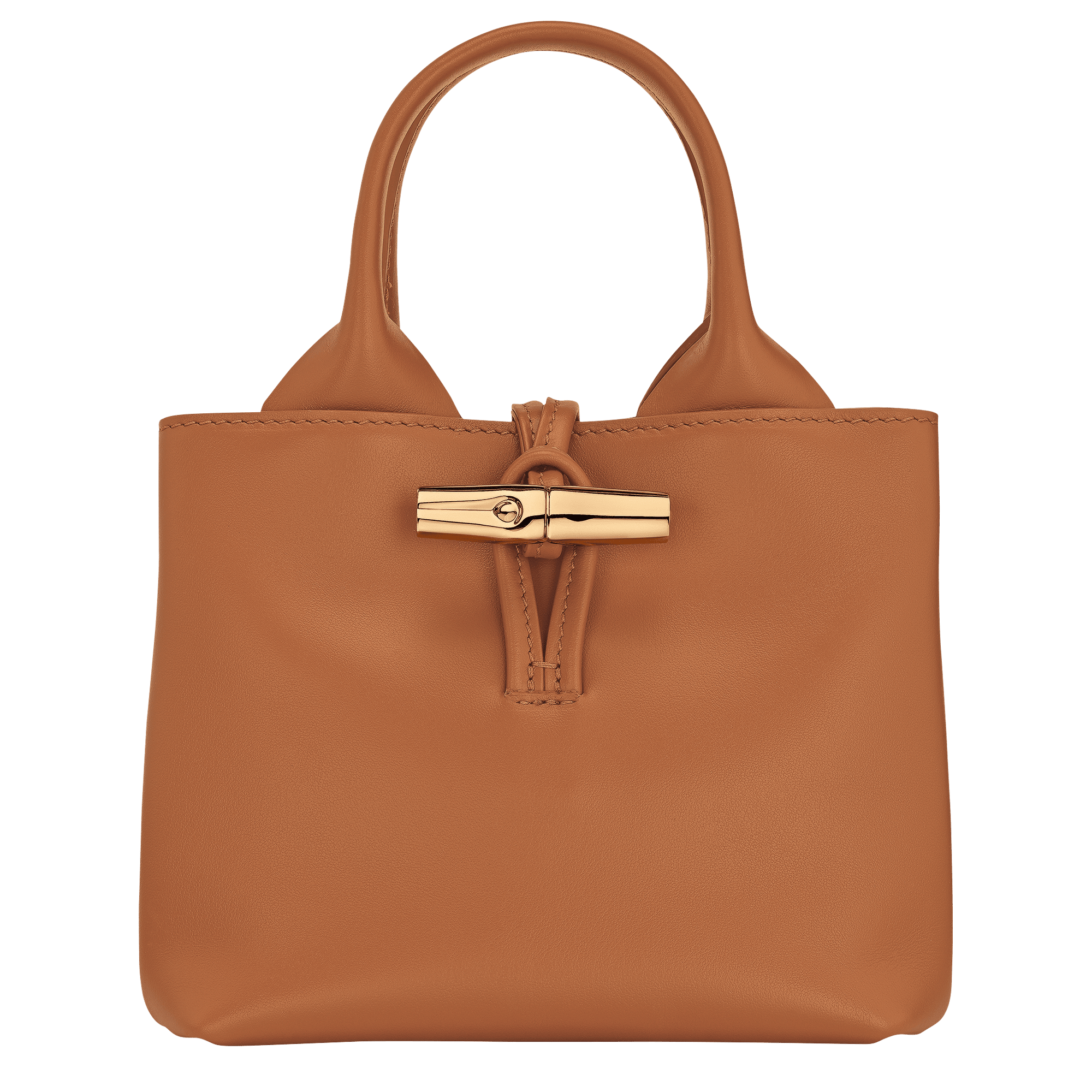 Le Roseau XS Handbag