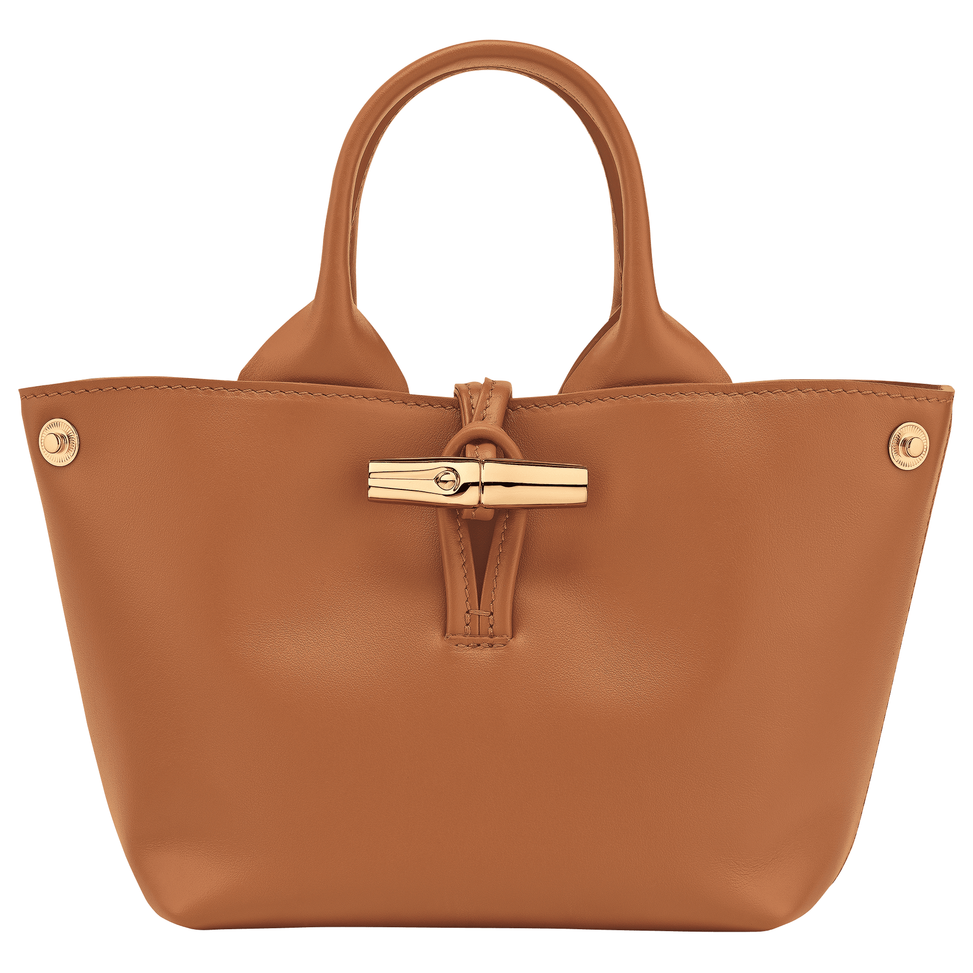 Le Roseau XS Handbag