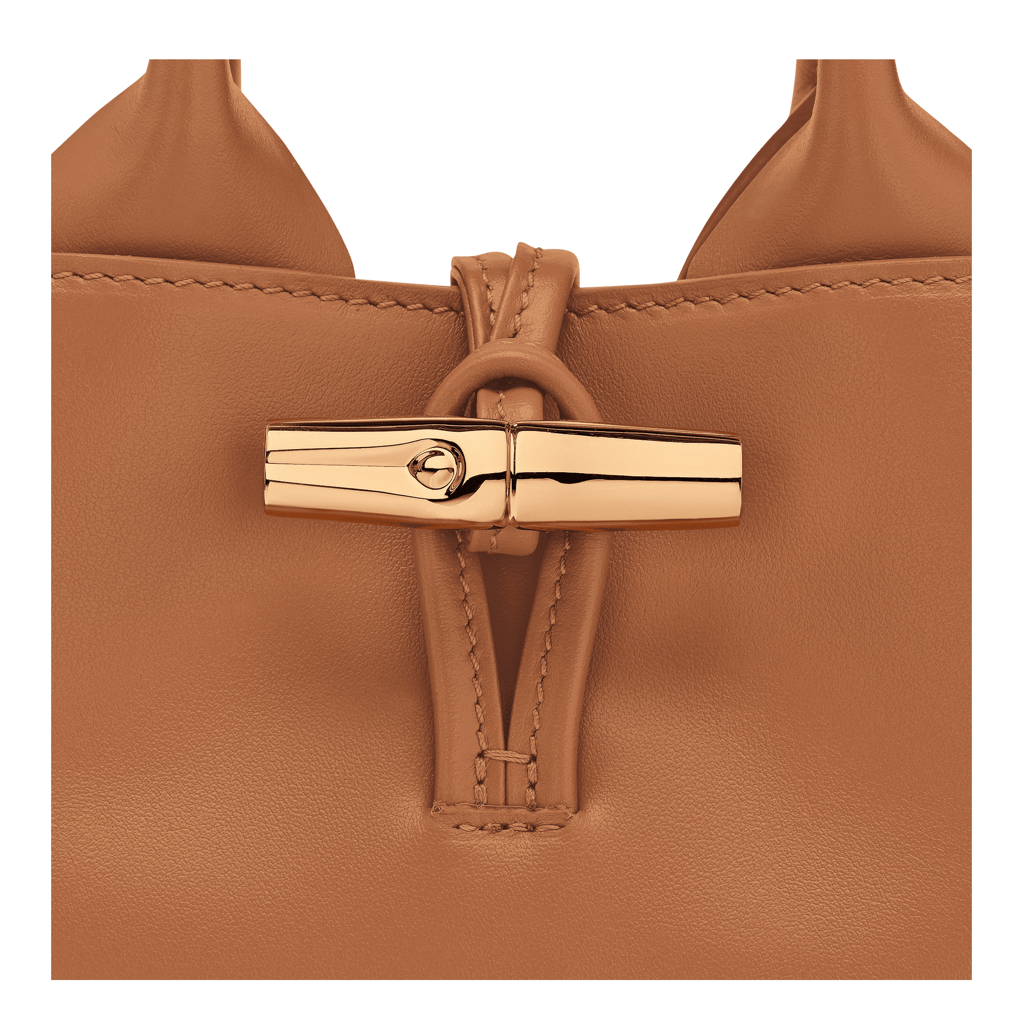 Le Roseau XS Handbag