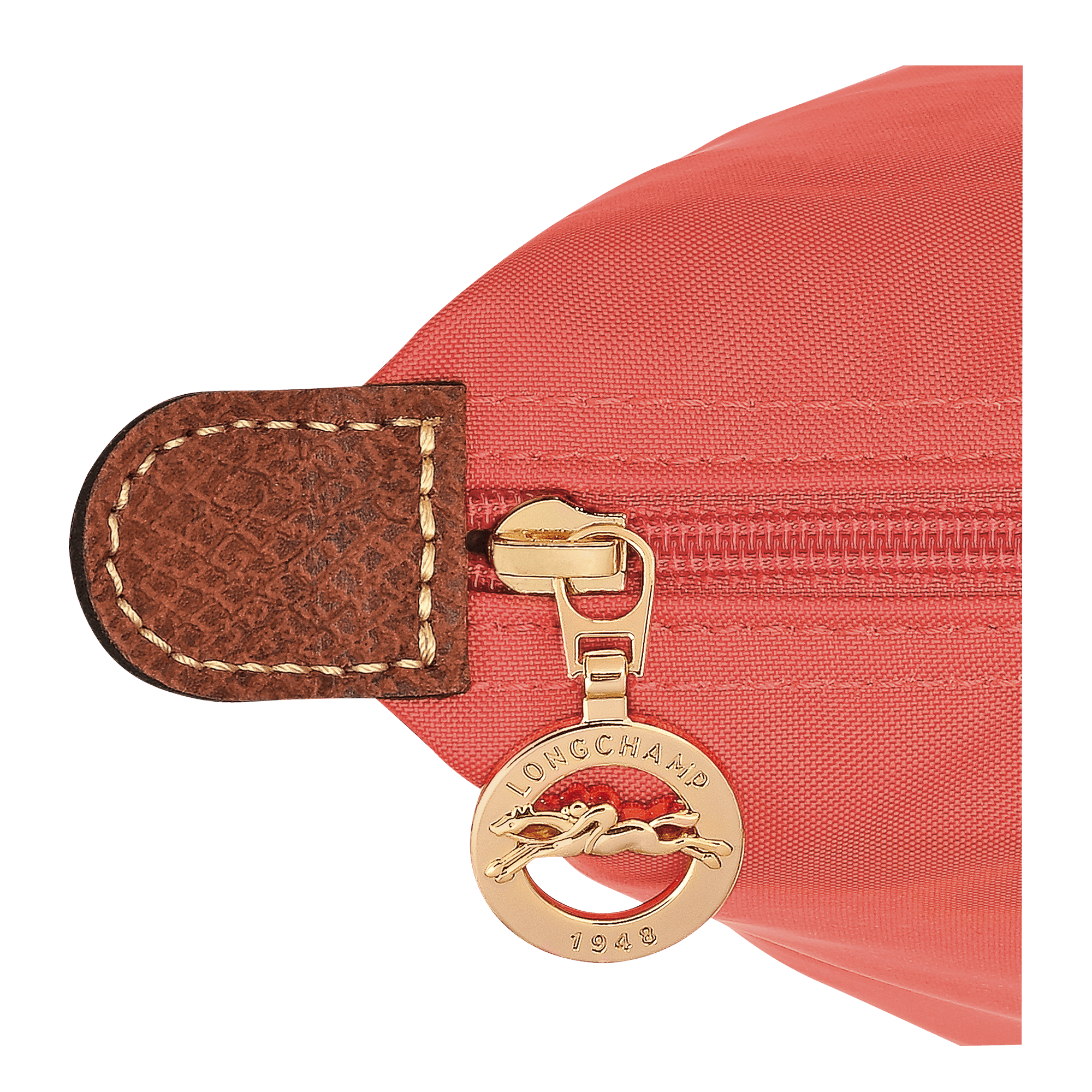 Le Pliage Original M Backpack