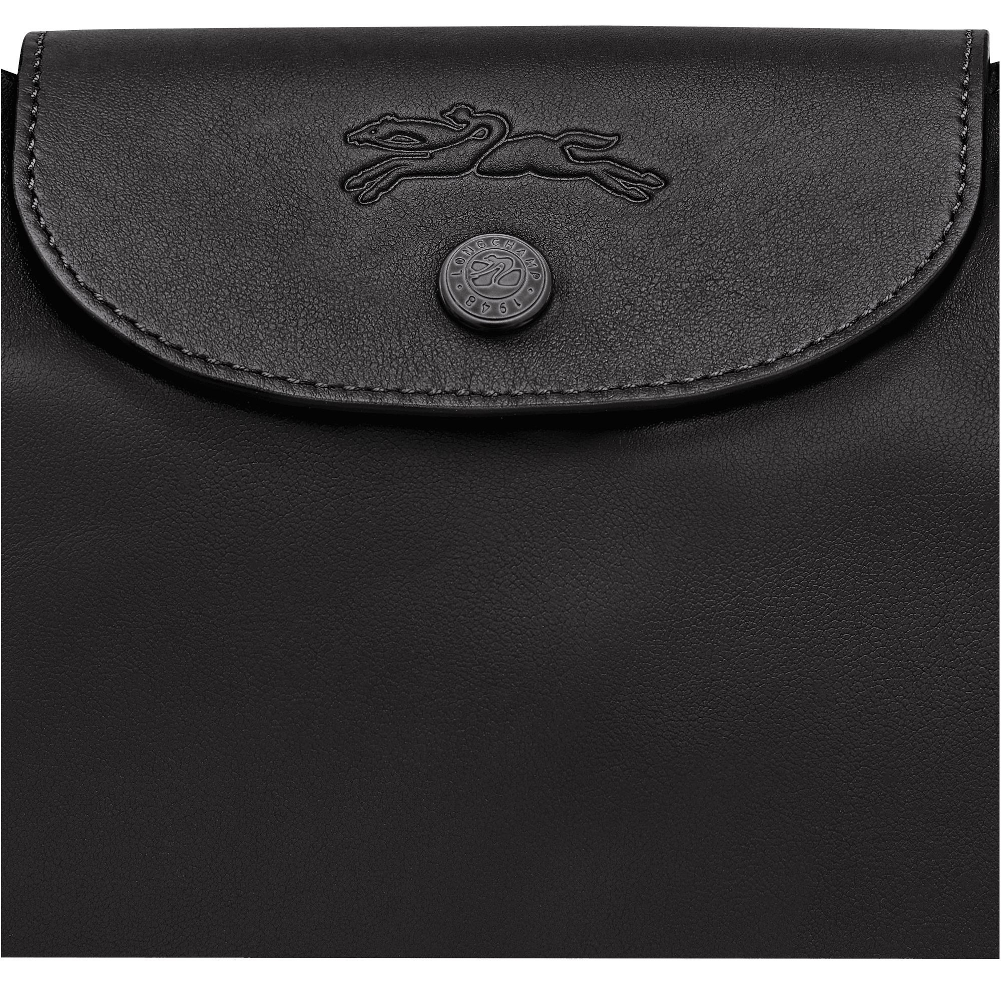 Le Pliage Xtra L Shoulder bag
