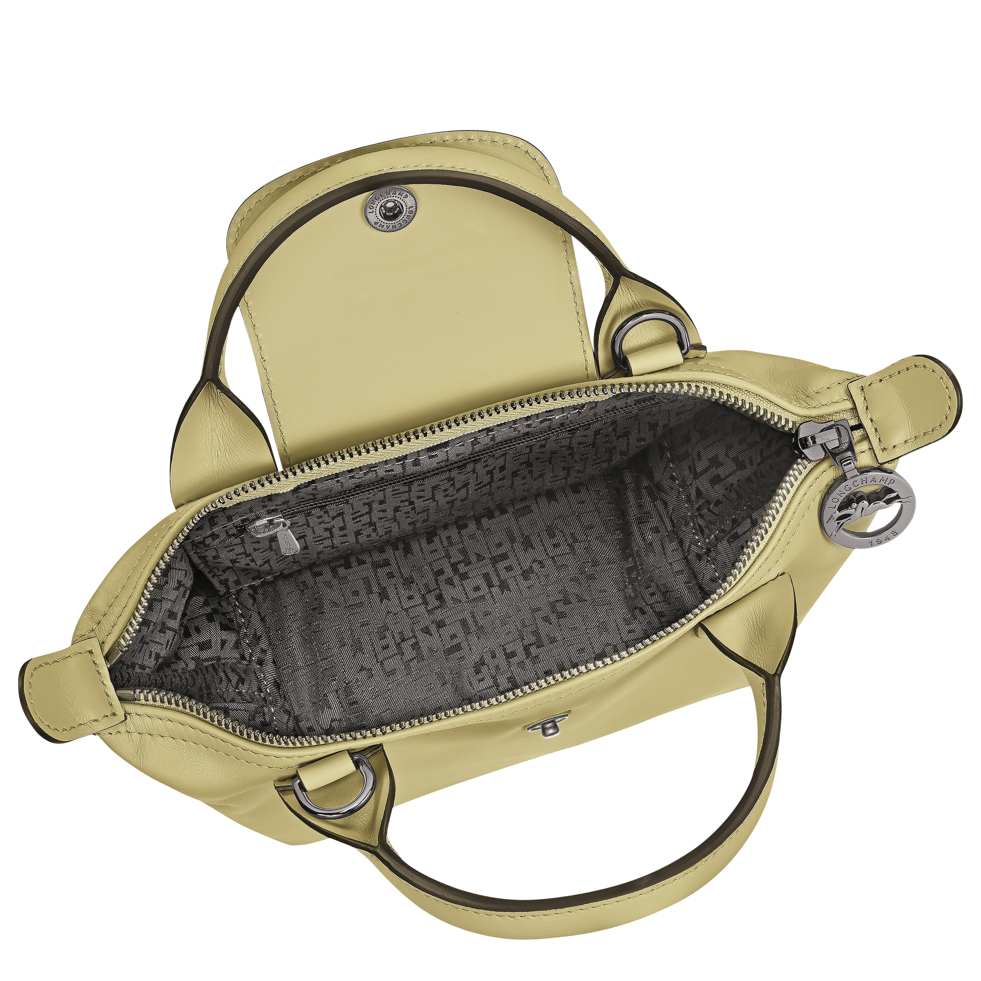 Le Pliage Xtra XS Handbag