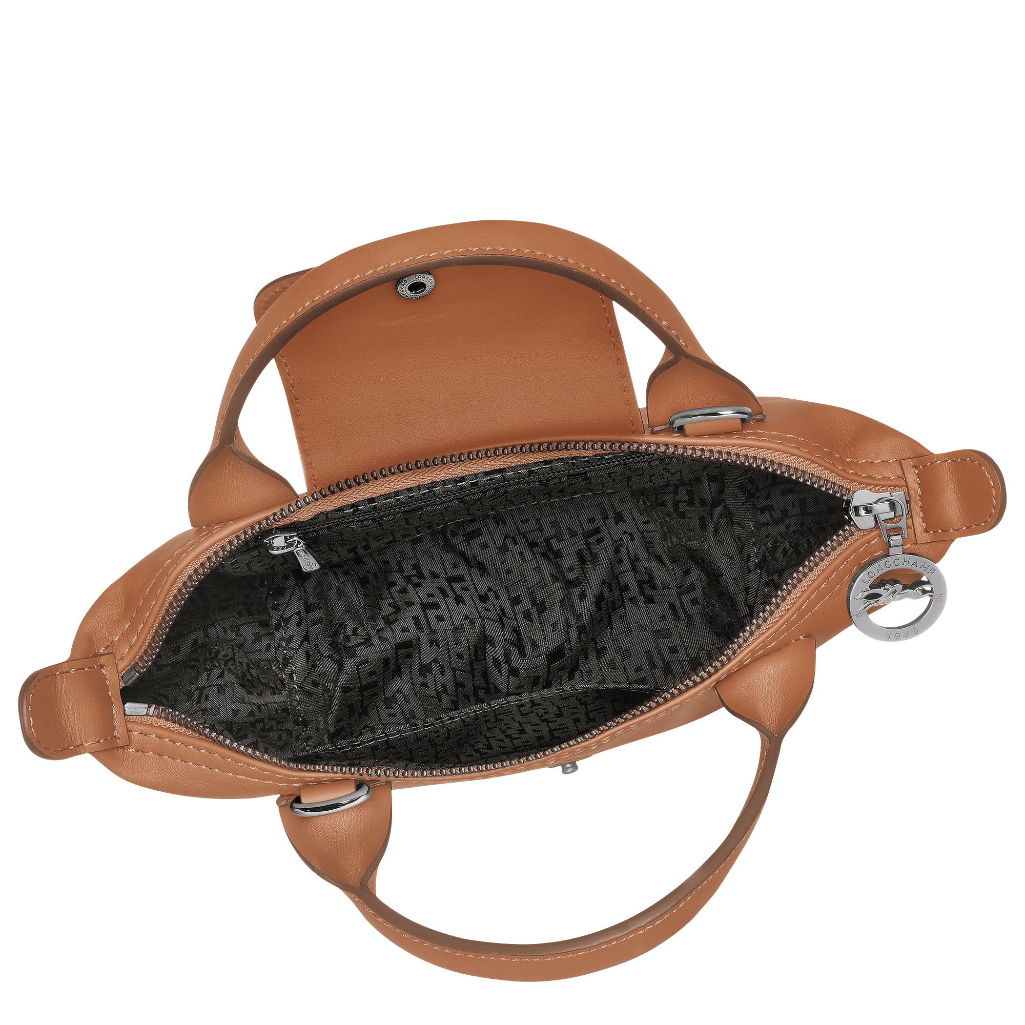 Le Pliage Xtra XS Handbag