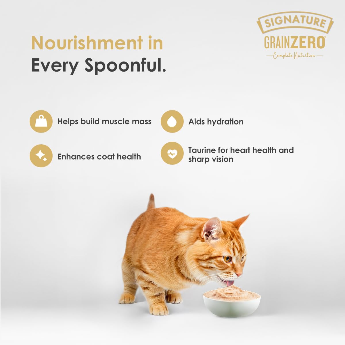 Signature Salmon Mousse Adult Cat Wet Food, 80g