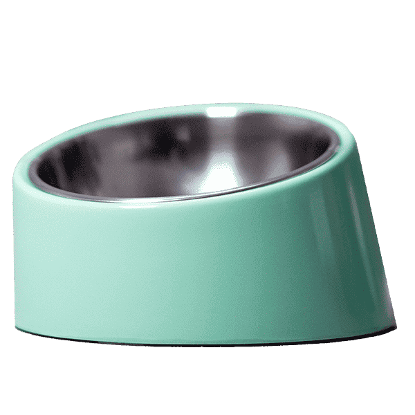 Ezra. | Ezra Slant Pet Bowl -  Blue