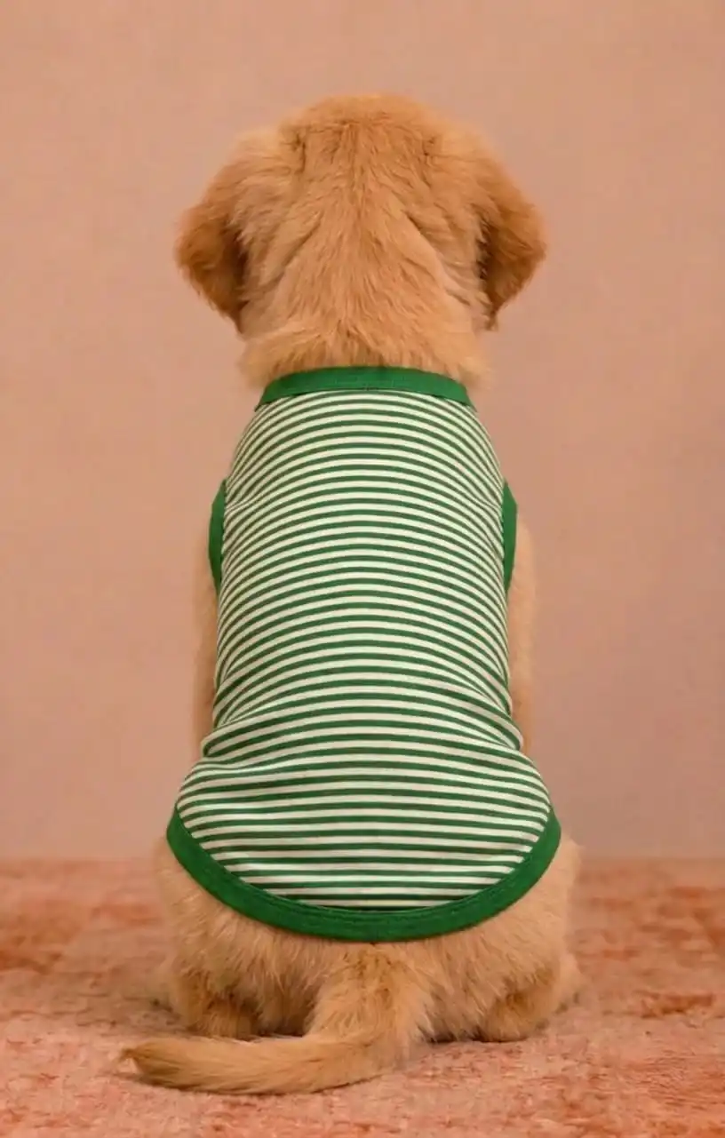 Pawsh Pet Green Stripe Pet Tshirt for Dogs