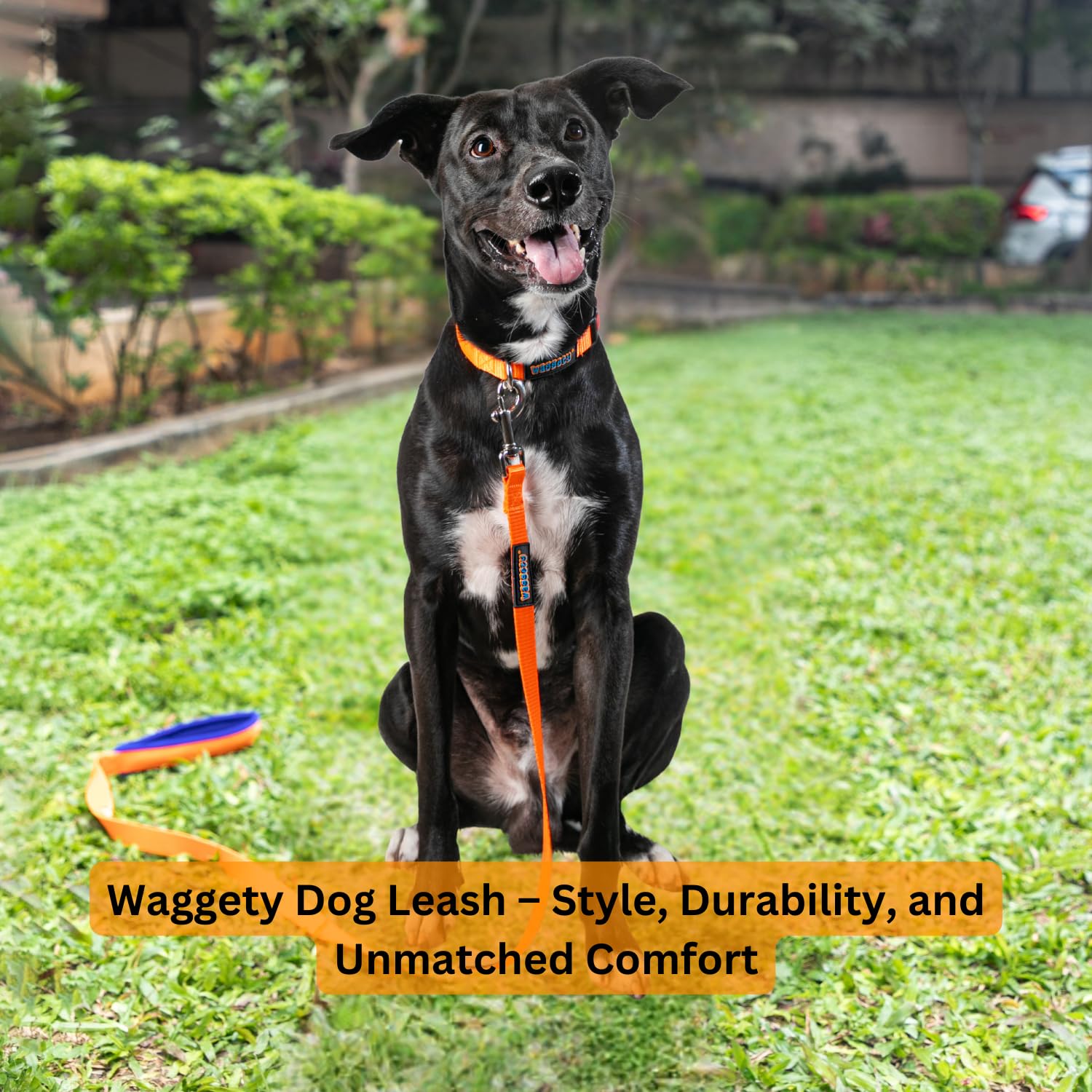 Waggety Dog Leash, Orange