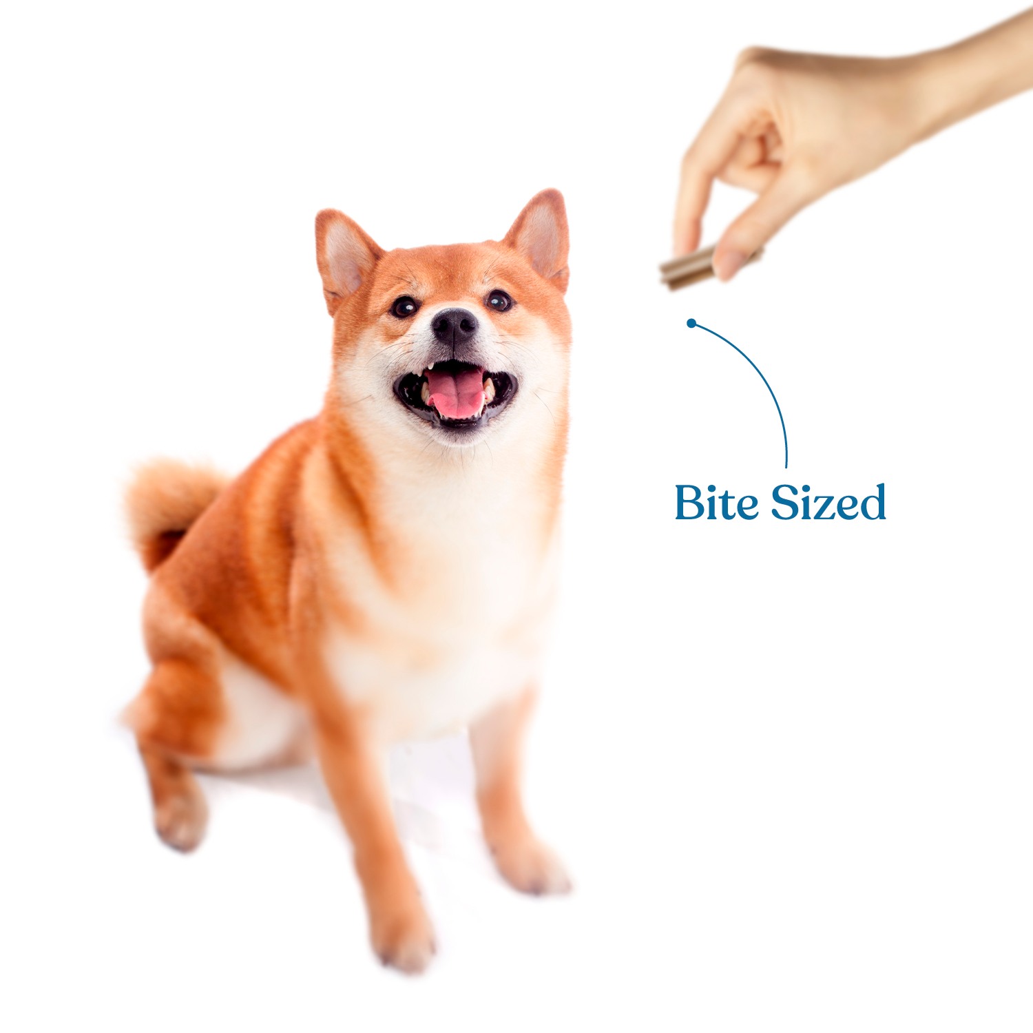 Snackers Calcium Milk Sticks Twist Sticks Dog Treats, 200g