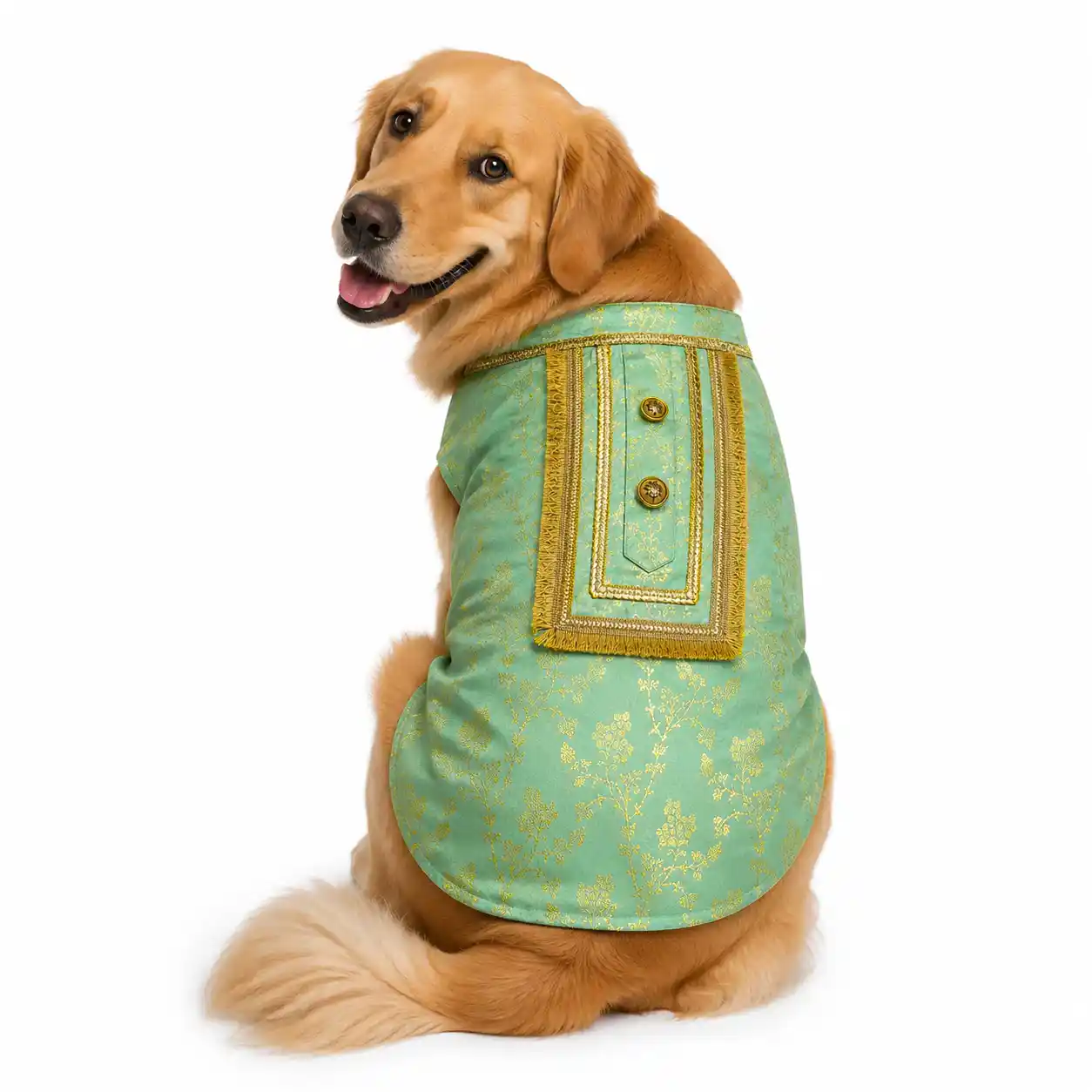 Pawsindia Traditional Royal Zari Kurta for Dogs, Ice Blue