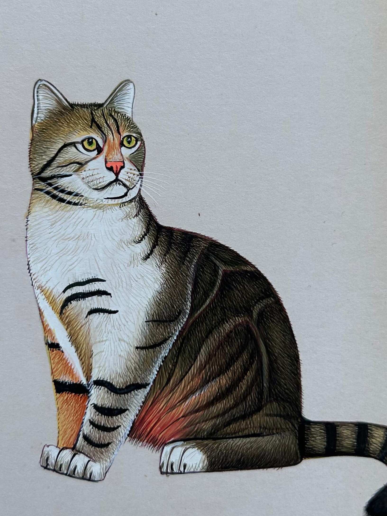 Cat Miniature Painting on Antique Card