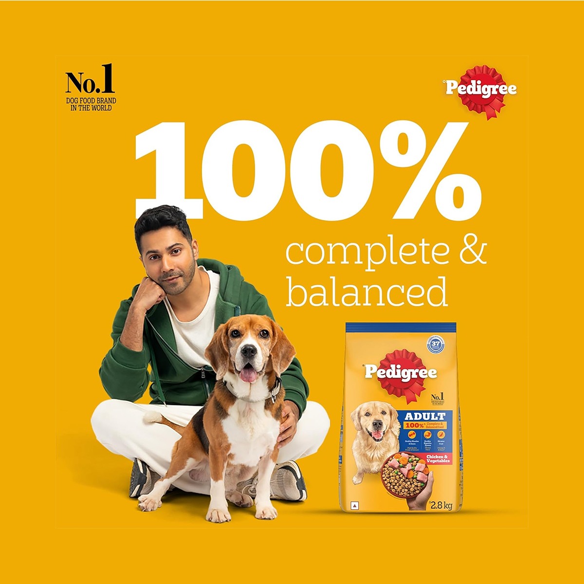 Pedigree Adult Chicken & Vegetables Dry Dog Food