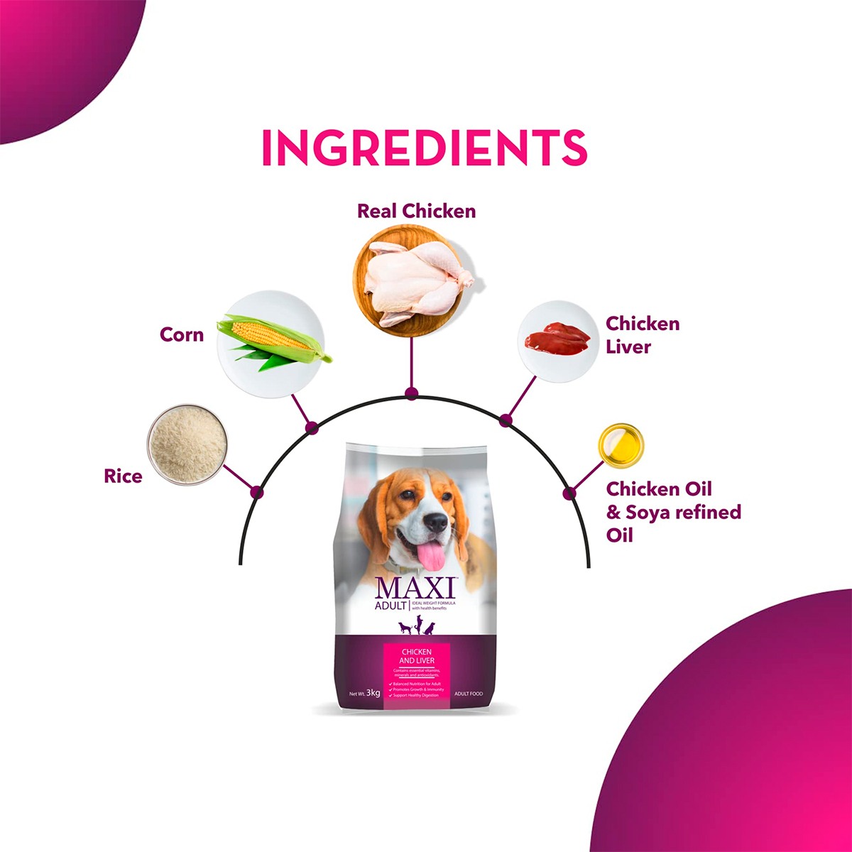 Drools Maxi Adult Dry Dog Food - 20 Kg