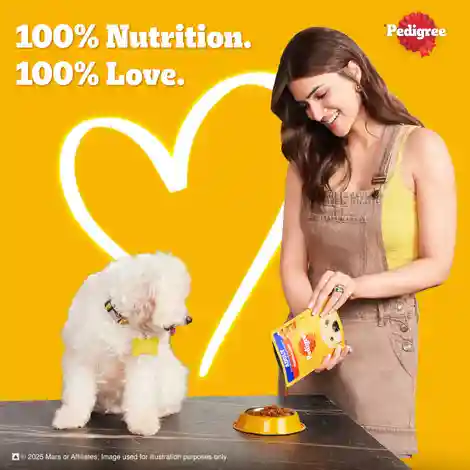 Pedigree Adult Chicken & Liver Chunks In Gravy Wet Dog Food 490g