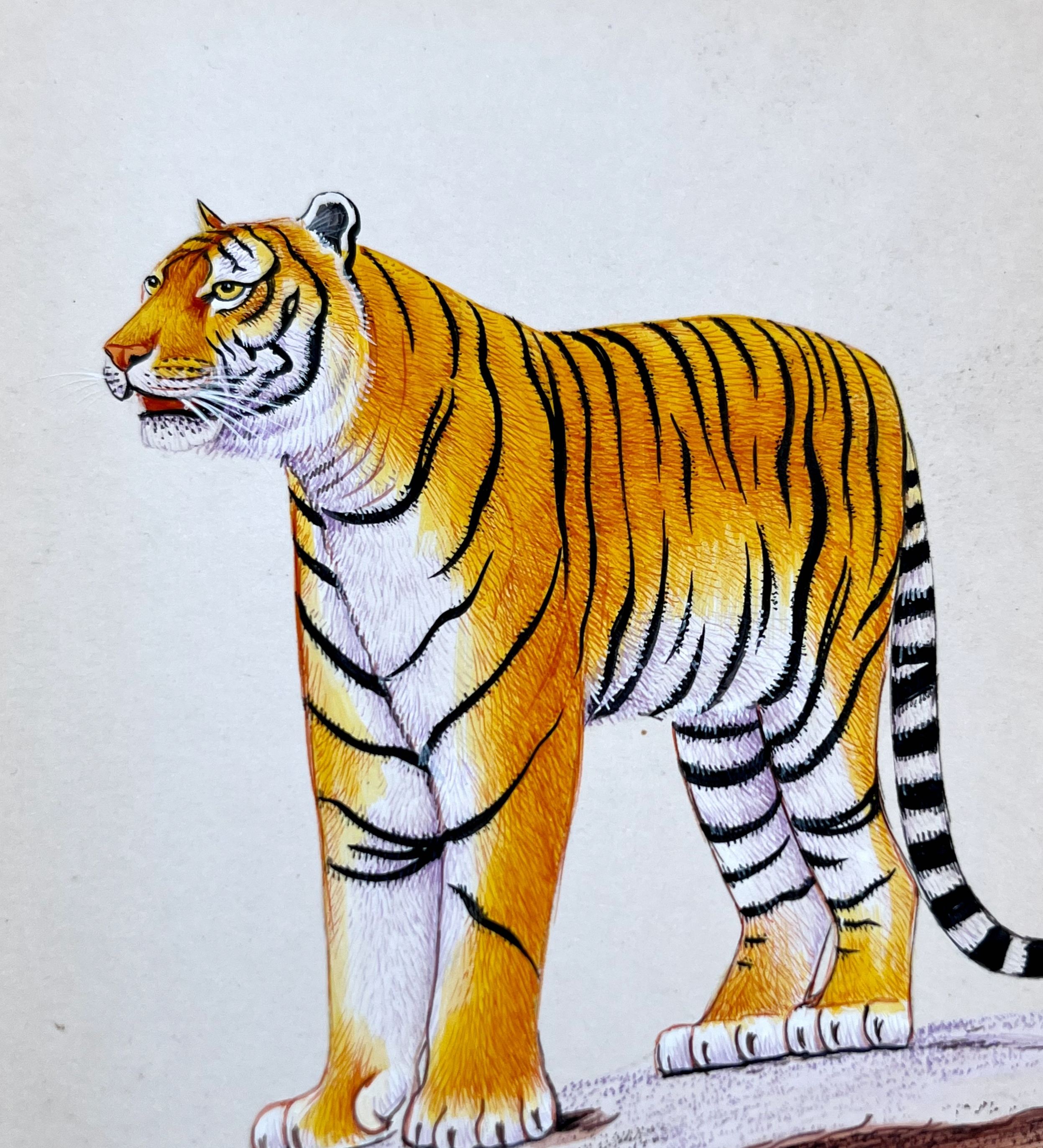 Realistic Tiger Miniature Painting