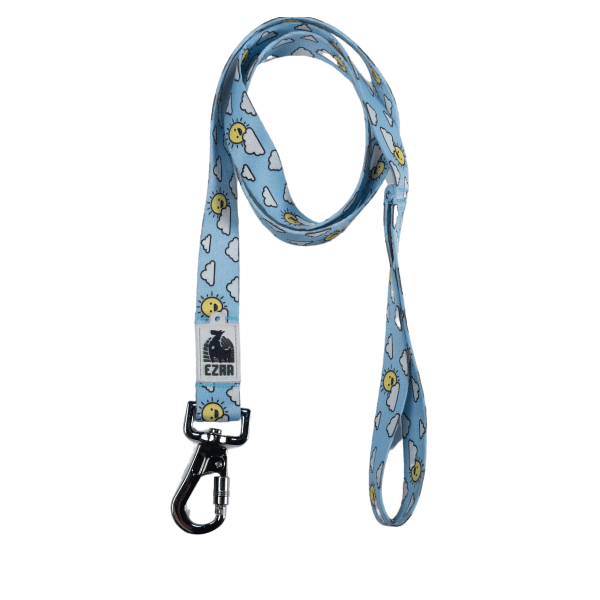 Ezra Digital Print Dog Leash - Assorted