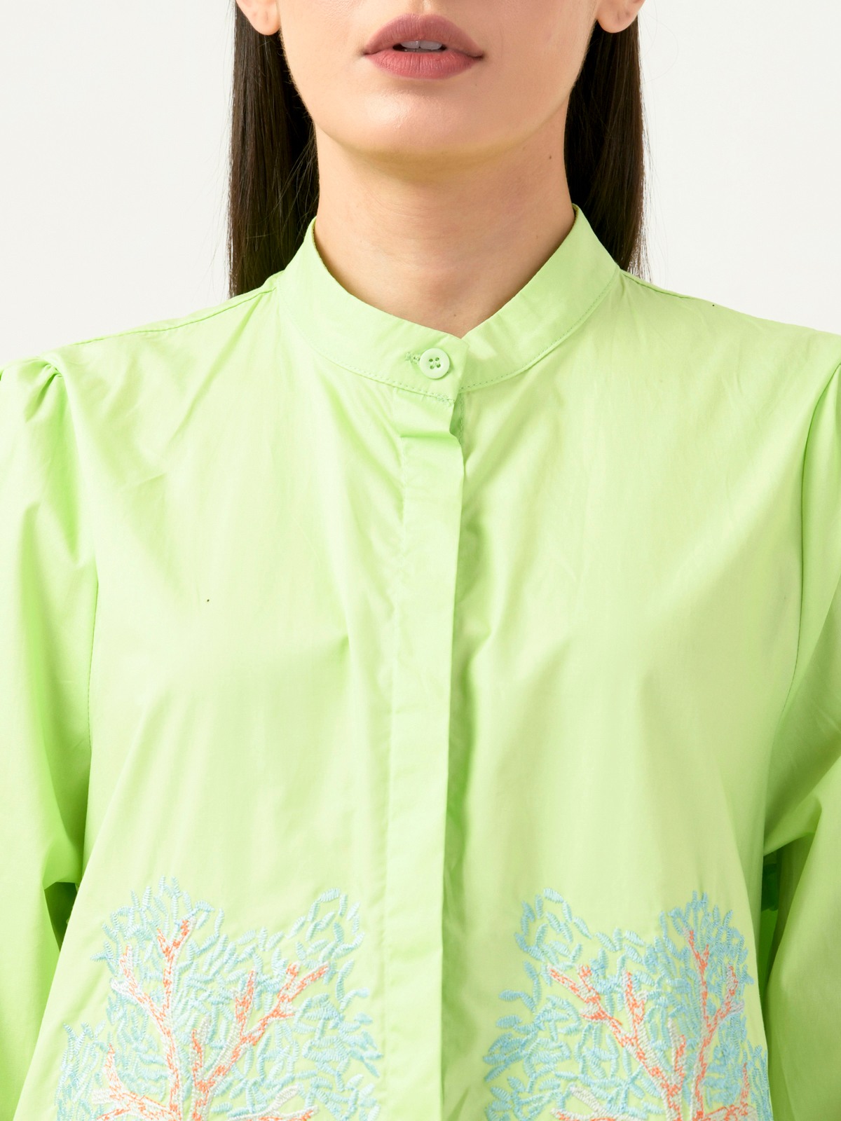 Albion Women Smart Premium P Green Blouson Top