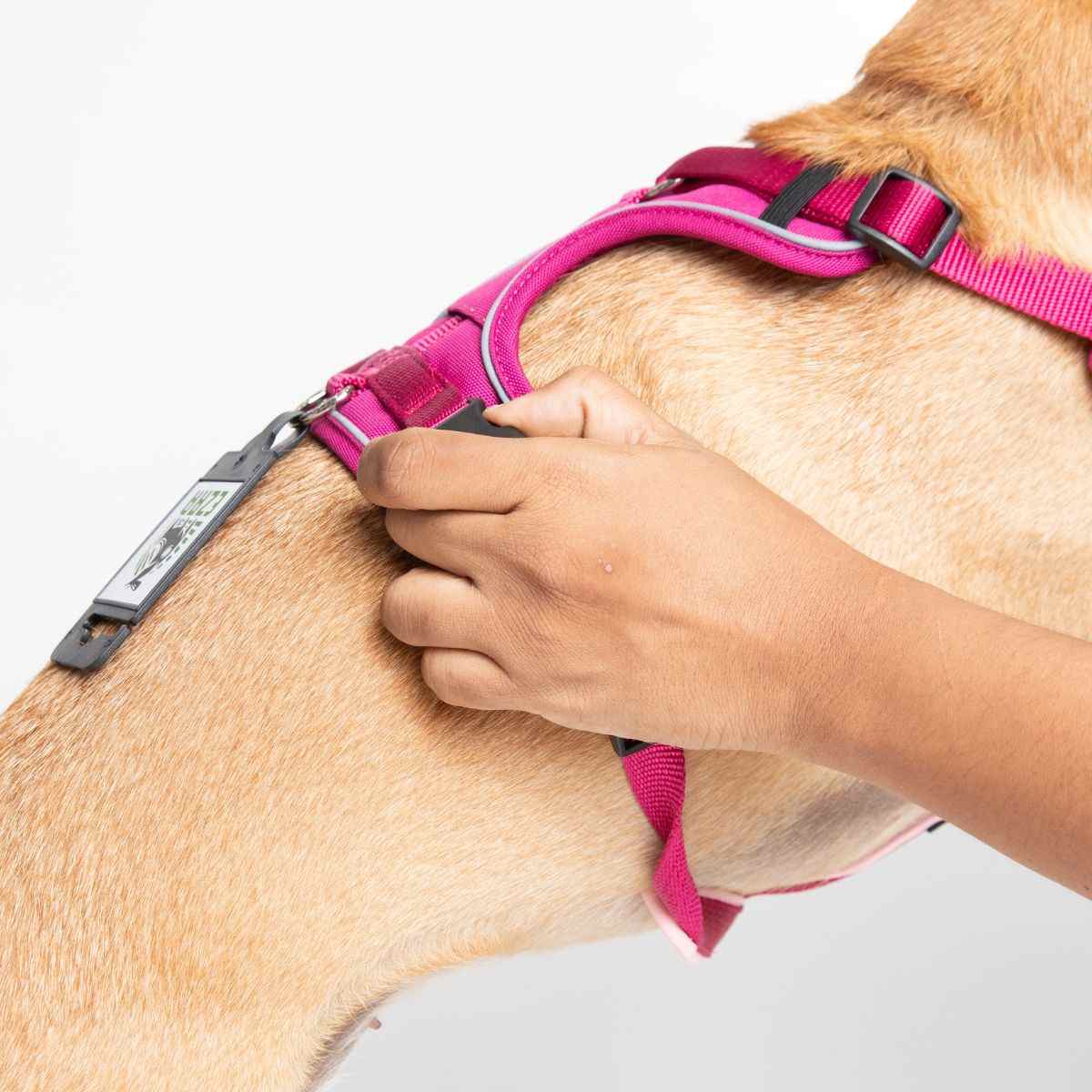 Ezra Comfort Harness for Dogs, Violet (Medium)