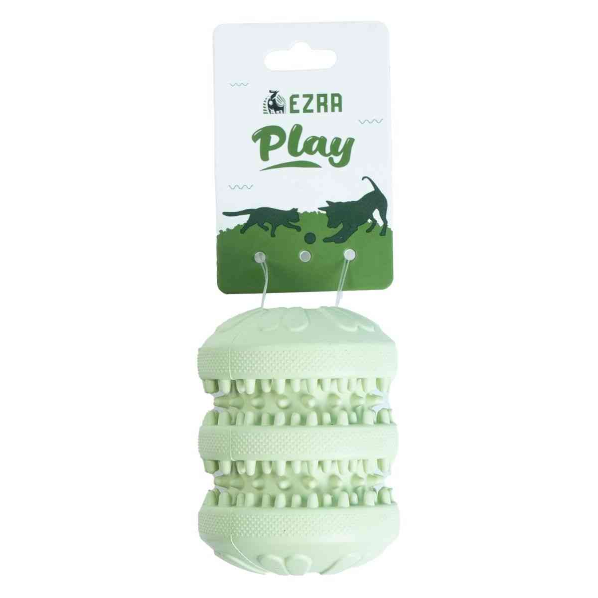 Ezra Play Treat Cylinder - Green Rubber Toy
