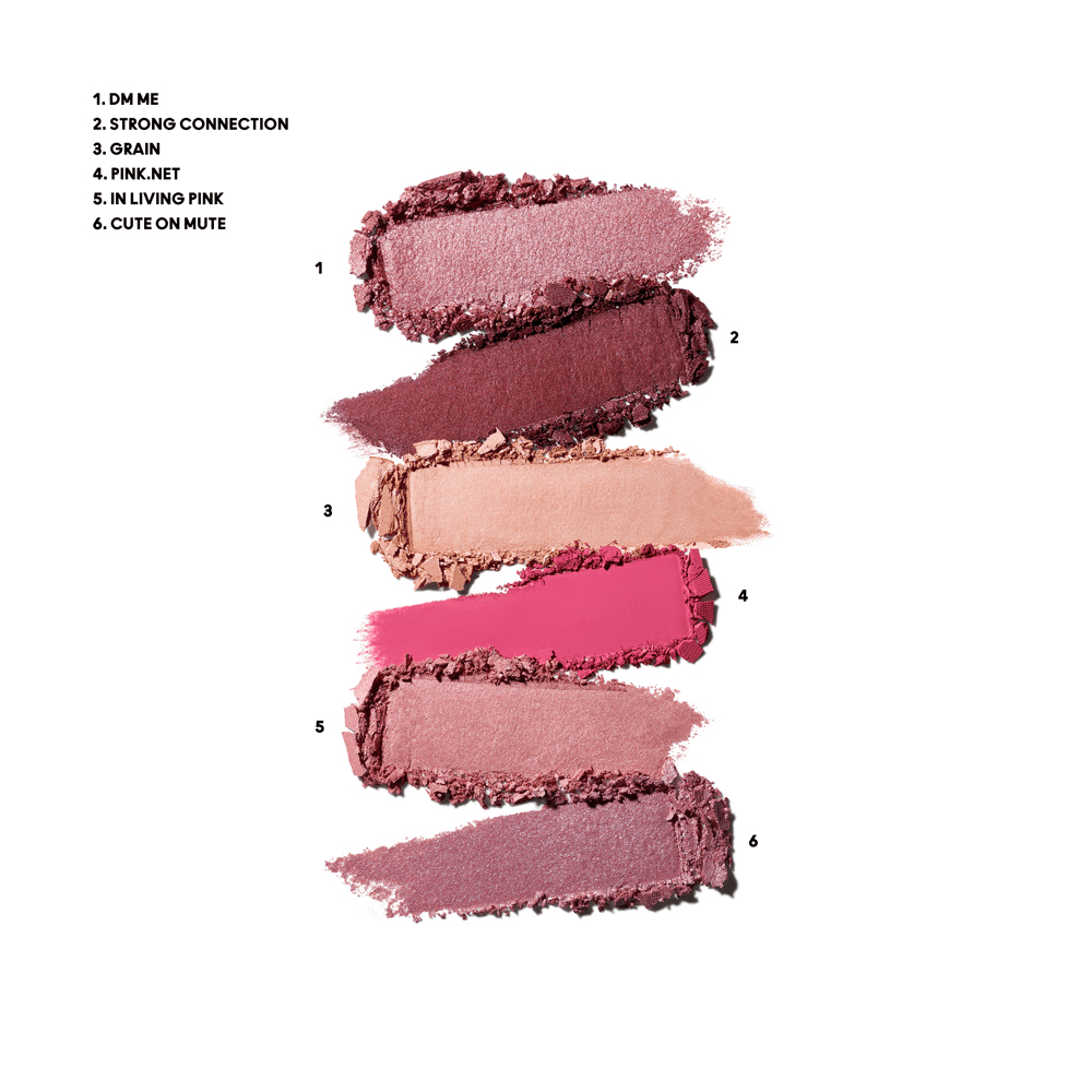 Connect In Color 6-Pan Eyeshadow Palette • Rose Lens