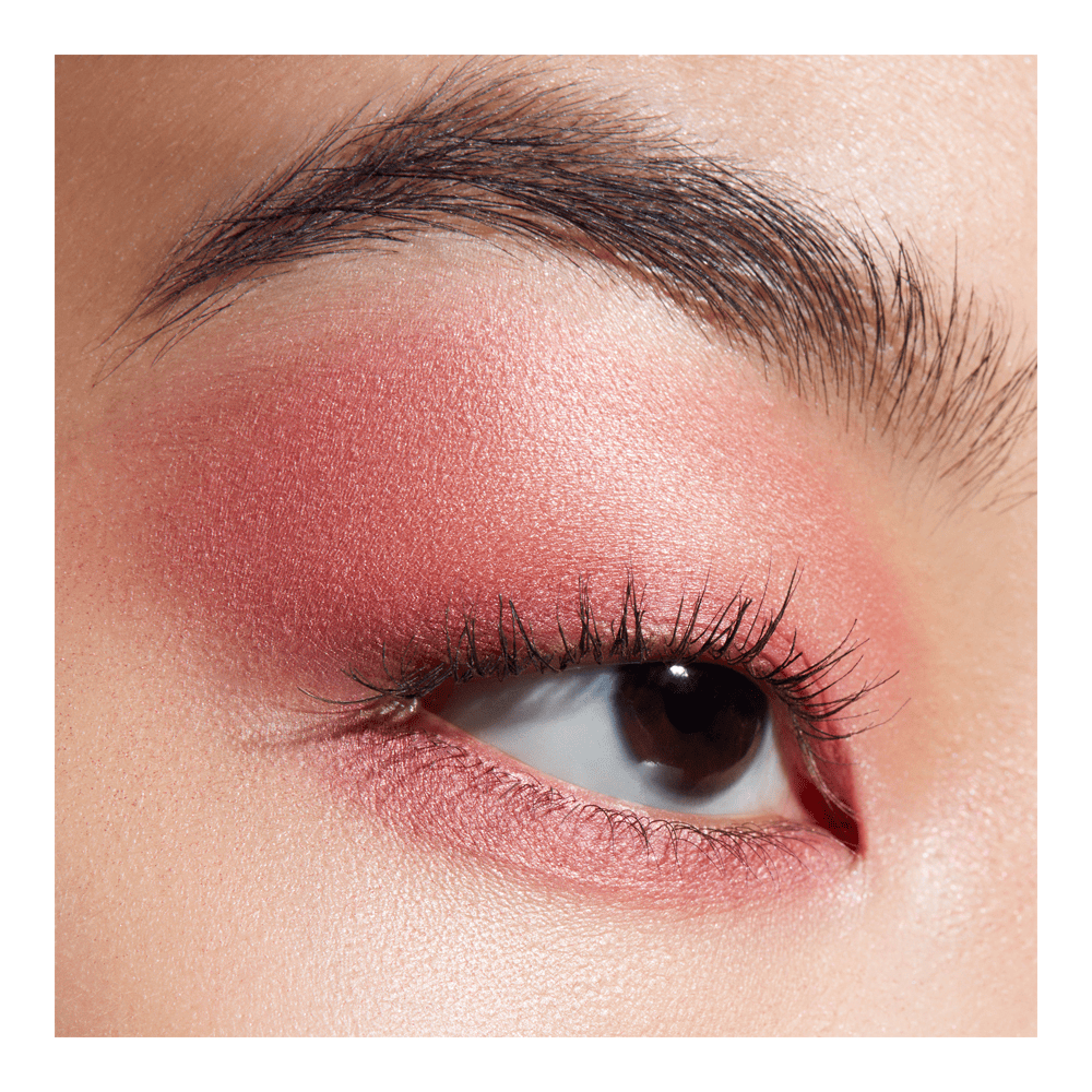 Connect In Color 6-Pan Eyeshadow Palette • Rose Lens