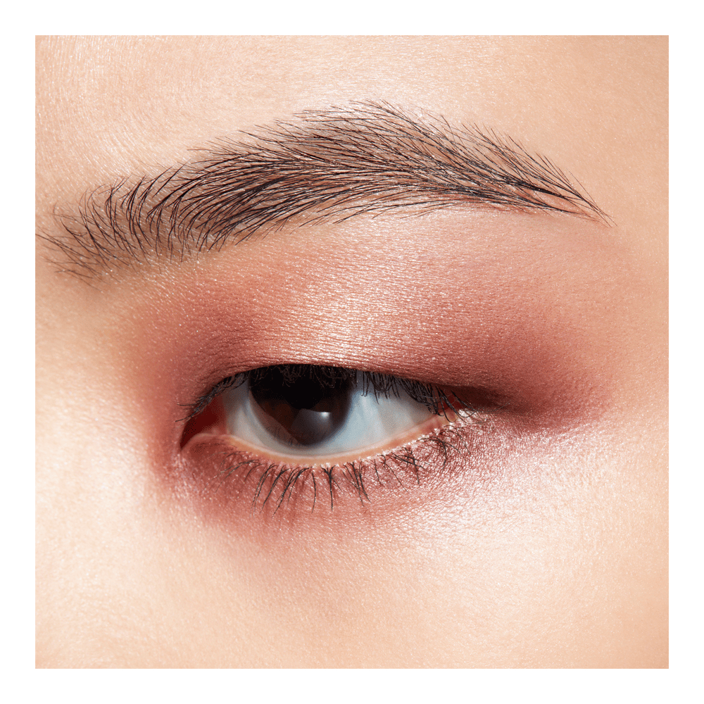 Connect In Color 6-Pan Eyeshadow Palette • Embedded