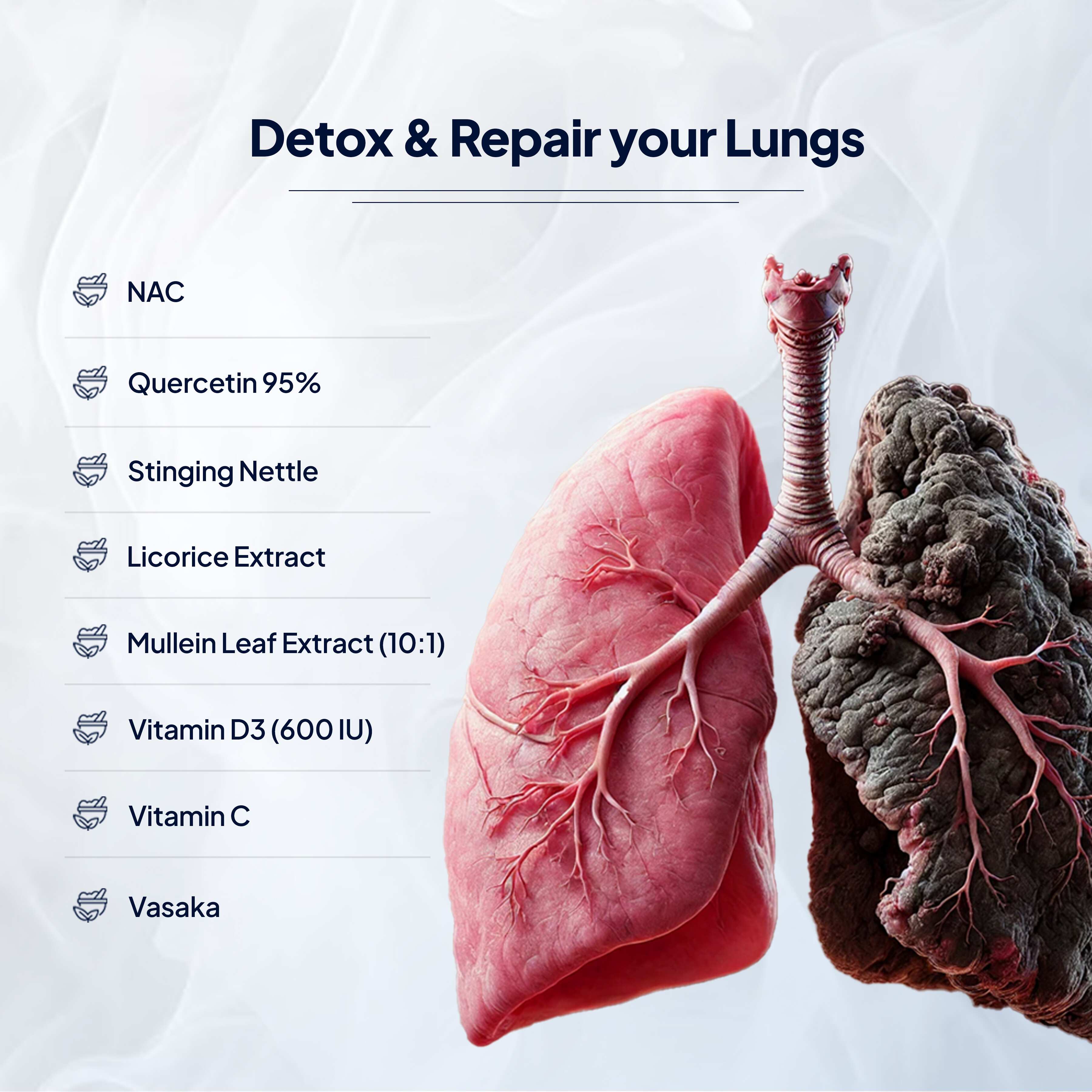 Miduty | Lung Detox | Lung Cleanse Supplement | 60 Cap