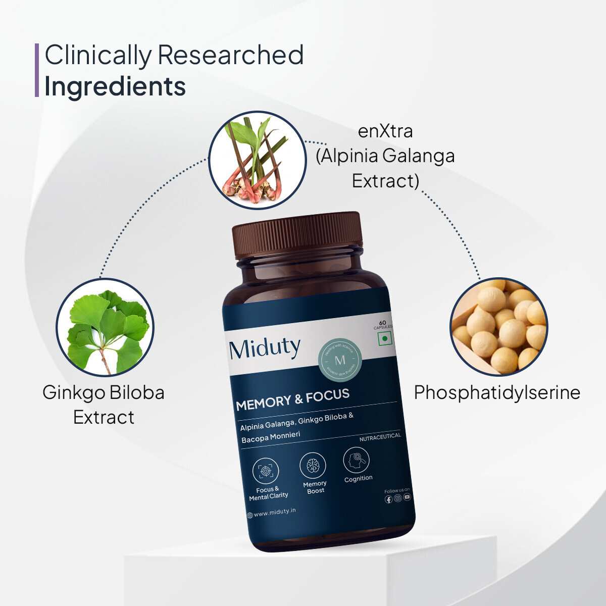 Miduty | Memory & Focus | Bacopa Monnieri | Caffeine free | 60 Cap