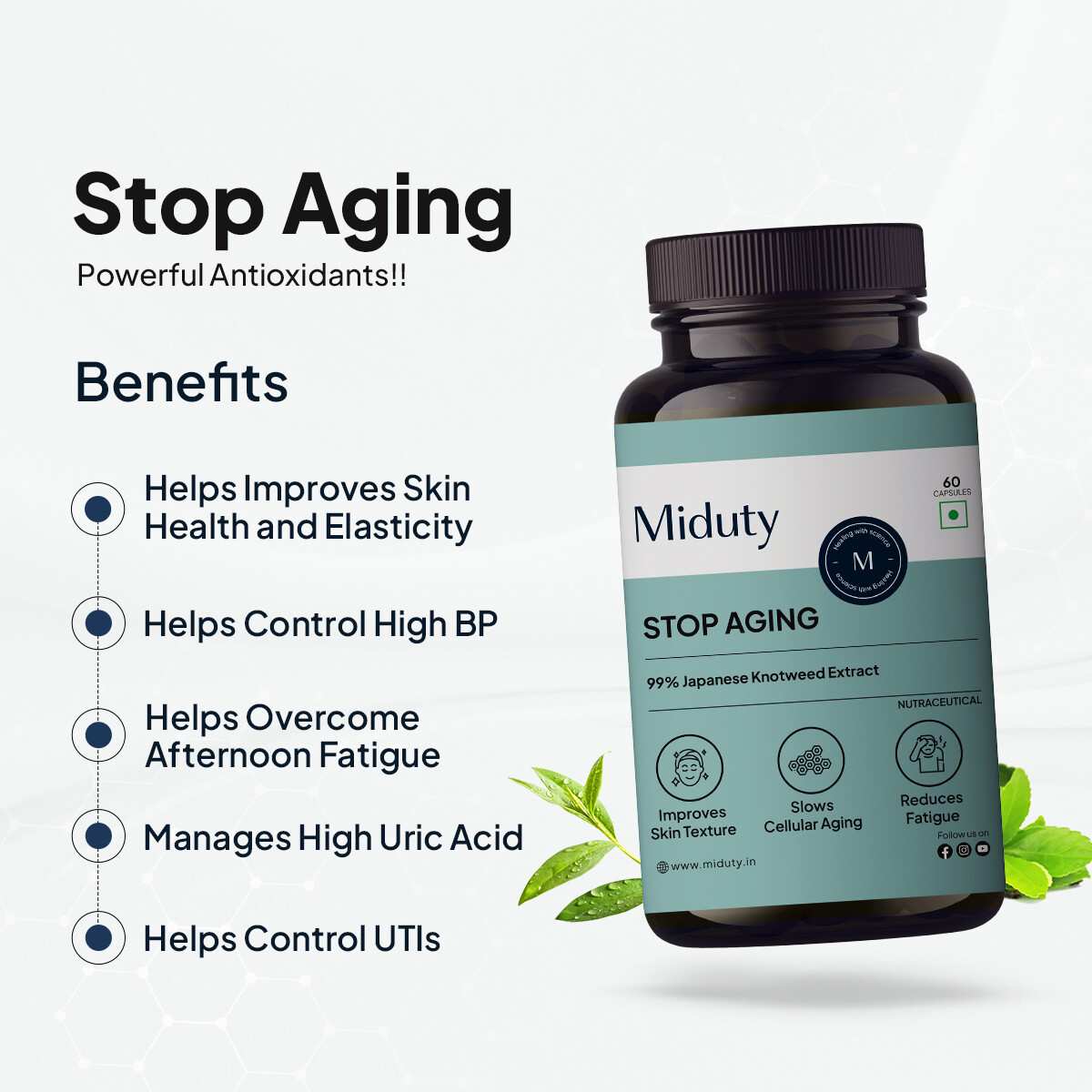 Miduty | Stop Aging-Trans Resveratrol 99% supplement | Green Tea | 30 Cap