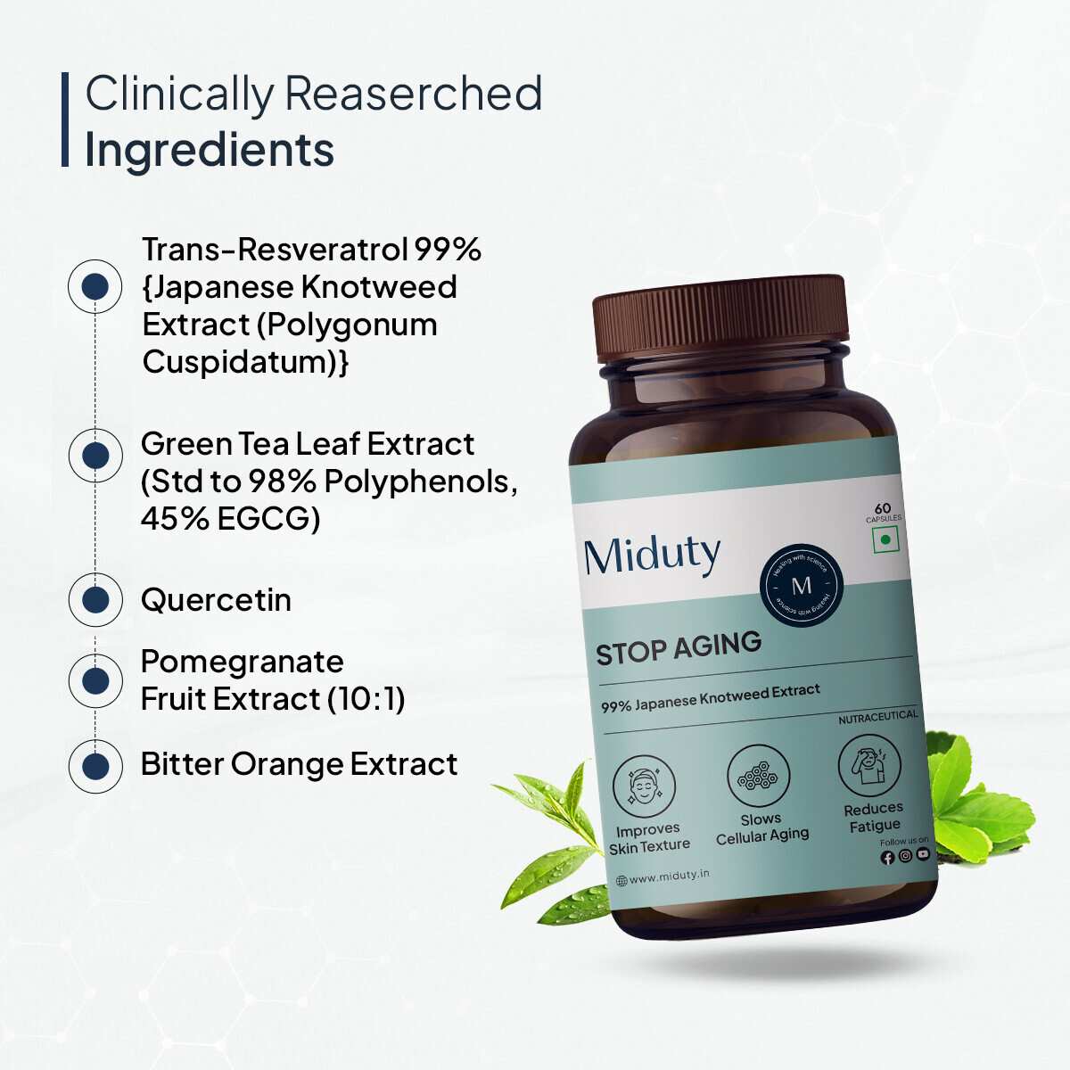 Miduty | Stop Aging-Trans Resveratrol 99% supplement | Green Tea | 30 Cap