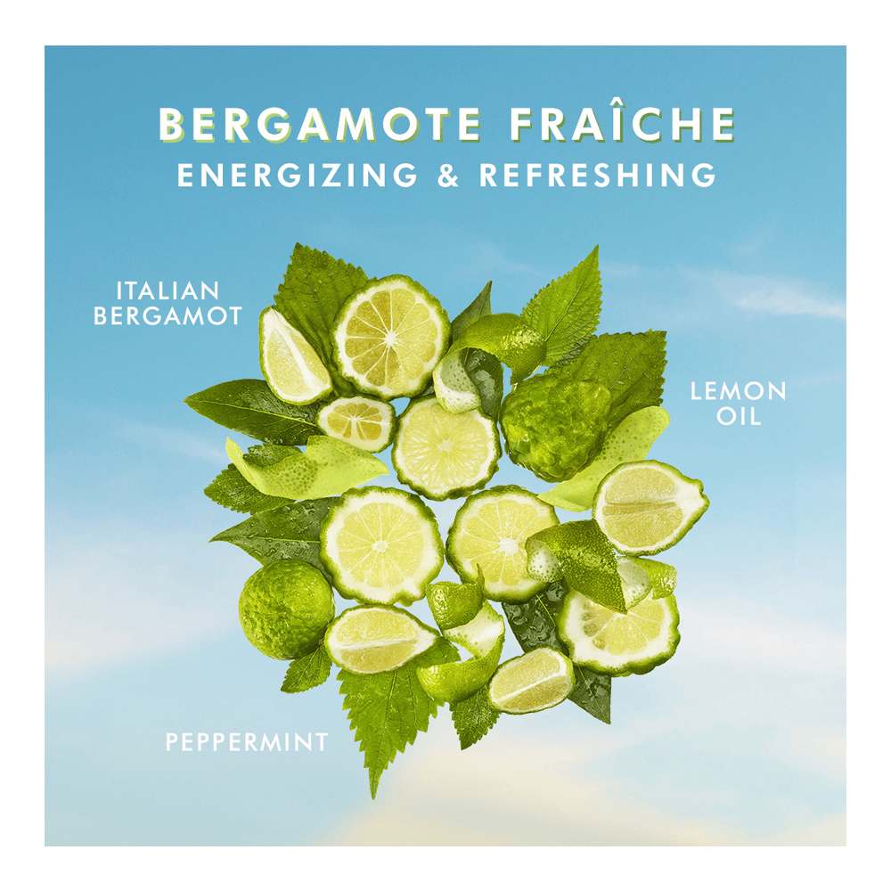 Bergamot Fraiche Body Lotion • 360ml
