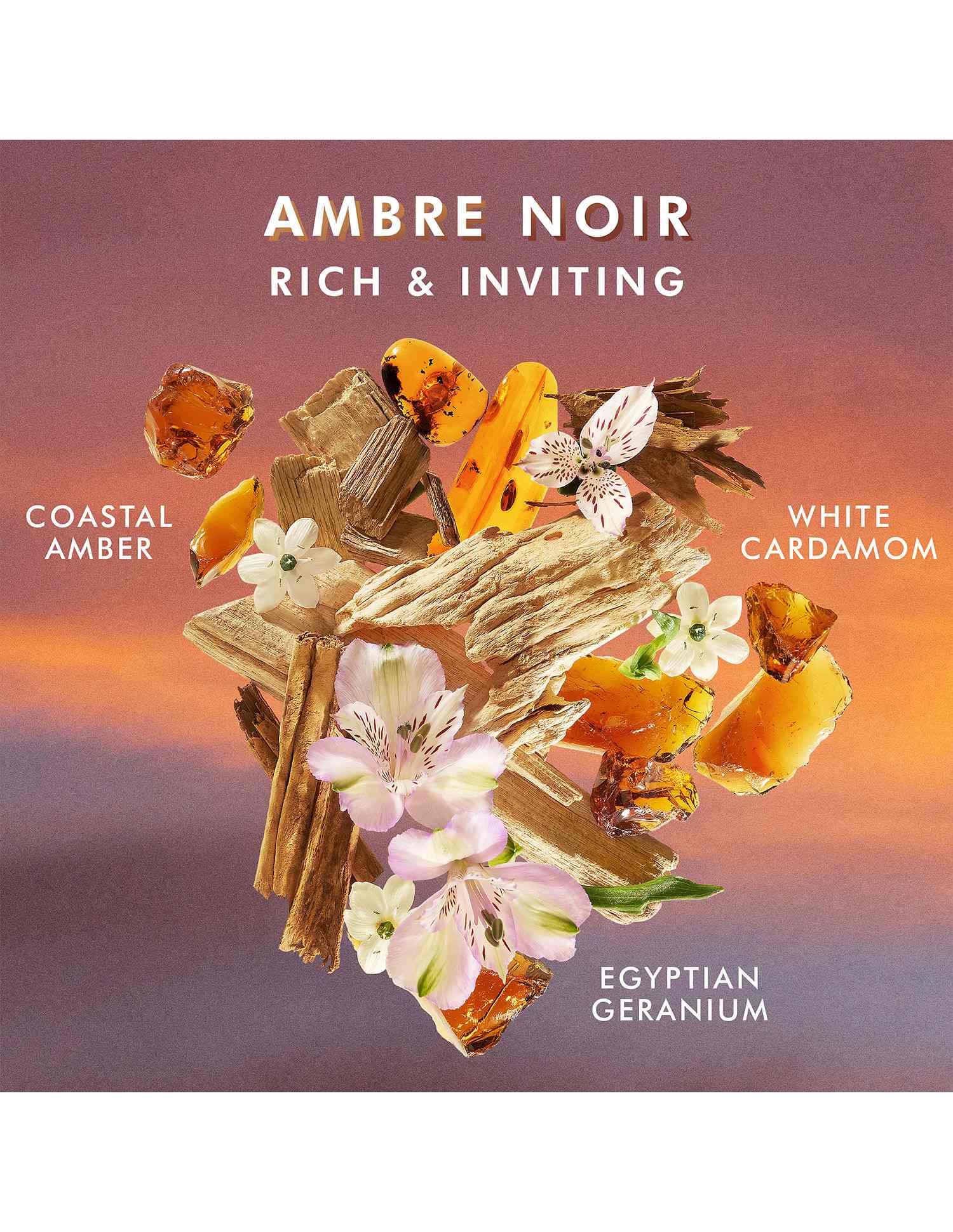 Hand Wash Ambre Noir • 360ml