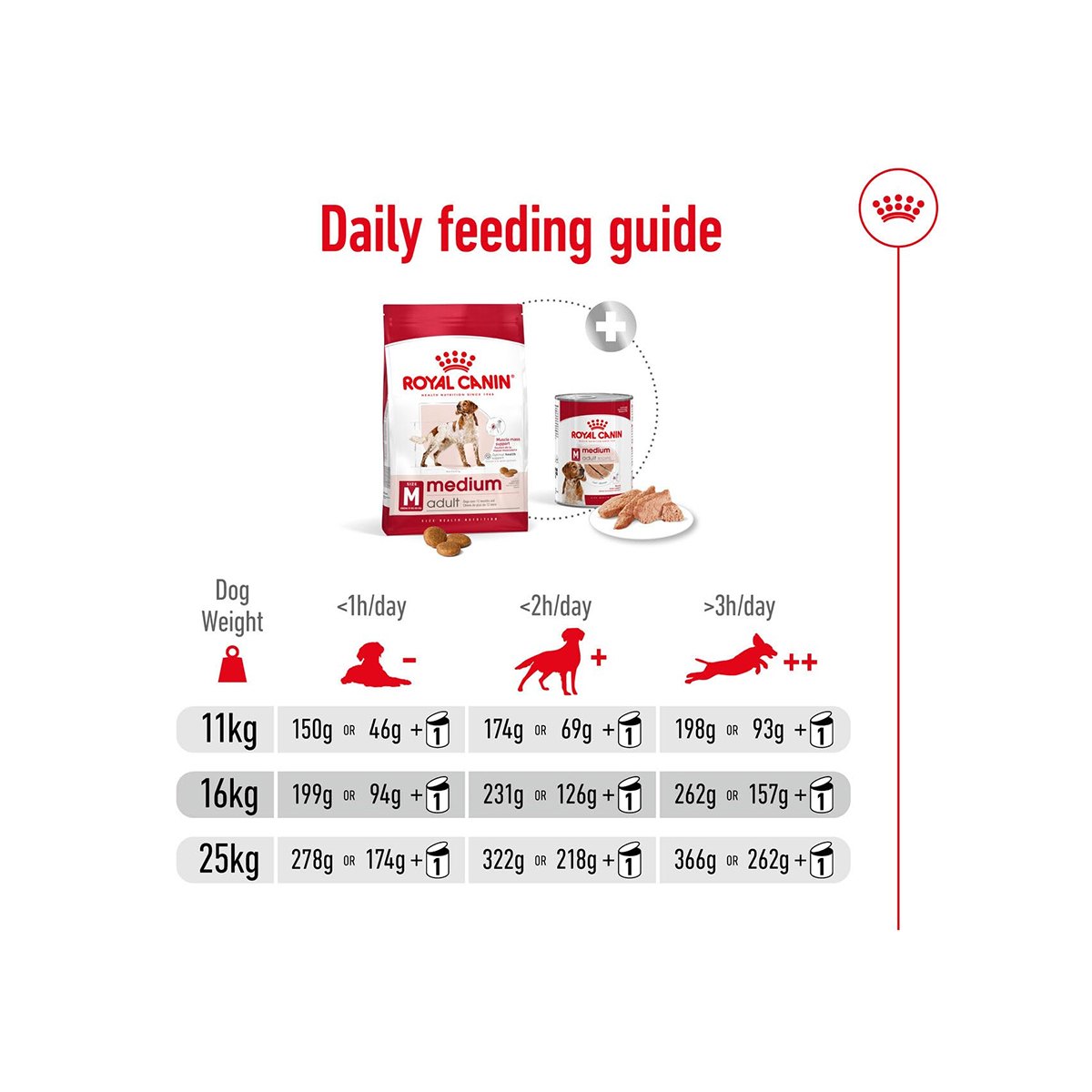 Royal Canin Medium Adult 4 Kg – (Best Before Jan’26)