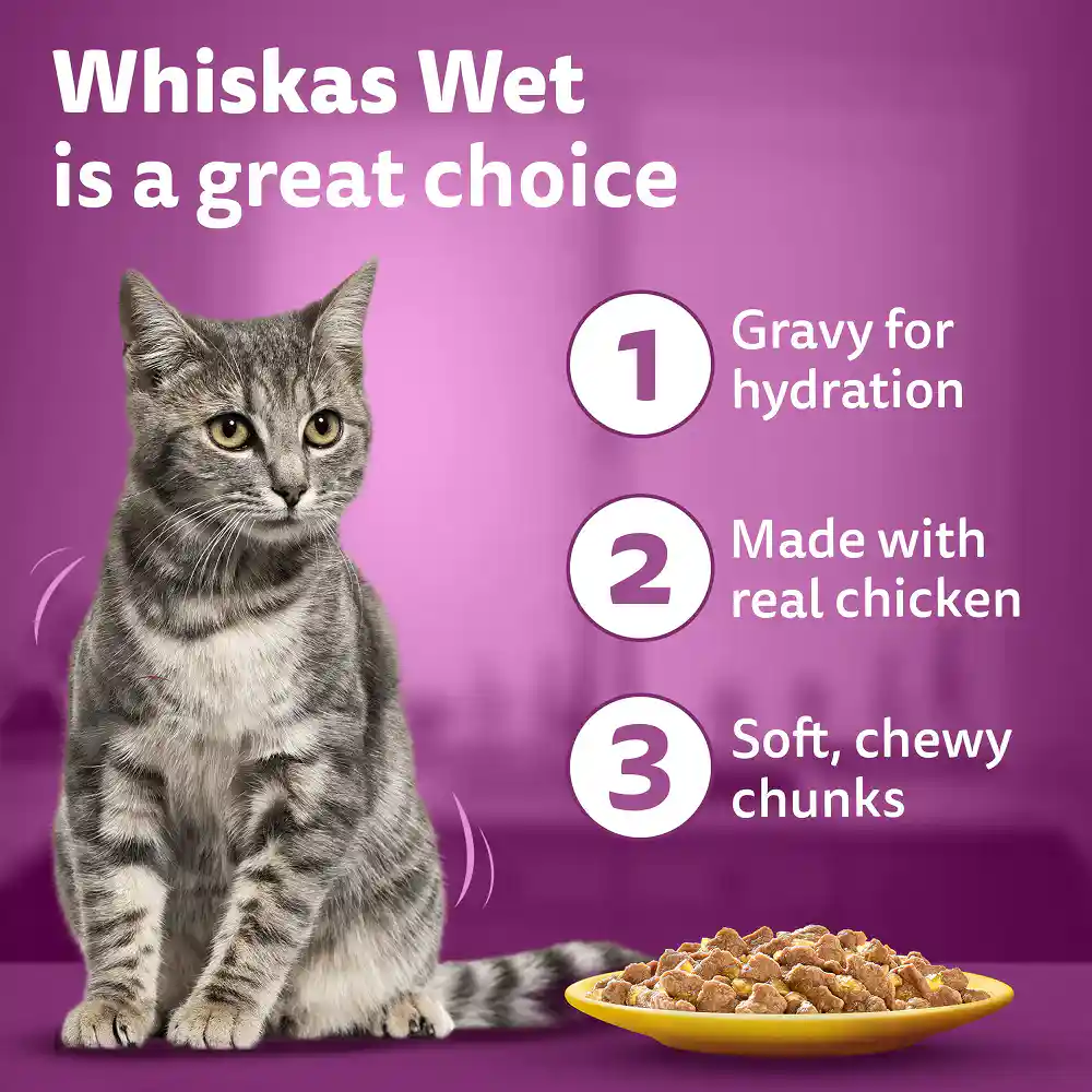 Whiskas Adult Chicken In Gravy Cat Wet Food, 85g