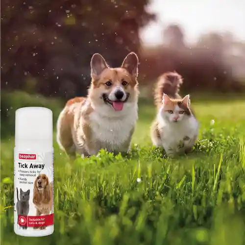Beaphar Tick Away Spray for Dogs and Cats 50 ml – (Best Before Mar'26)