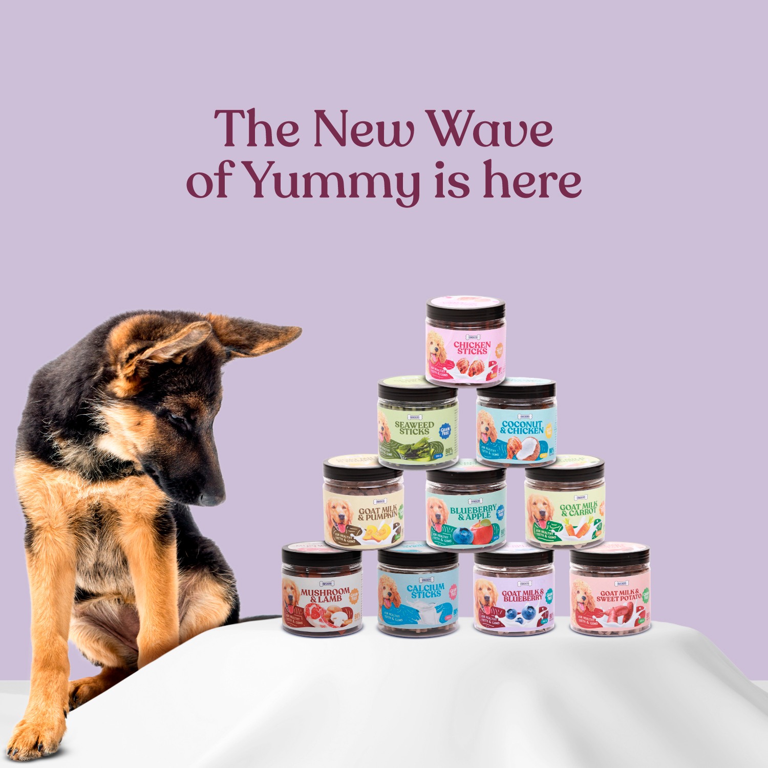 Snackers Goat milk & Blueberry Dog Treat, 200g