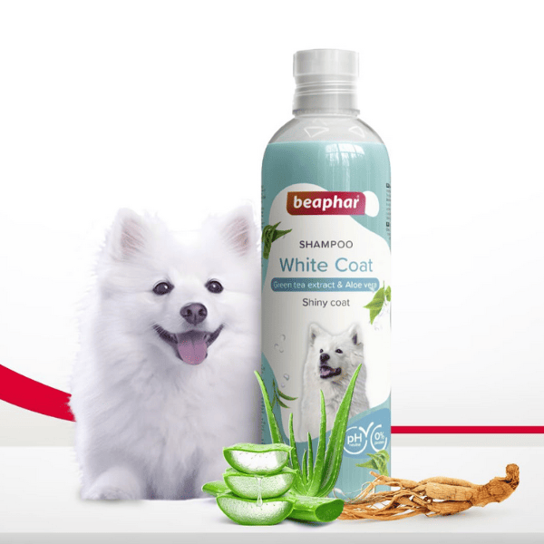 Beaphar White Coat Dog Shampoo