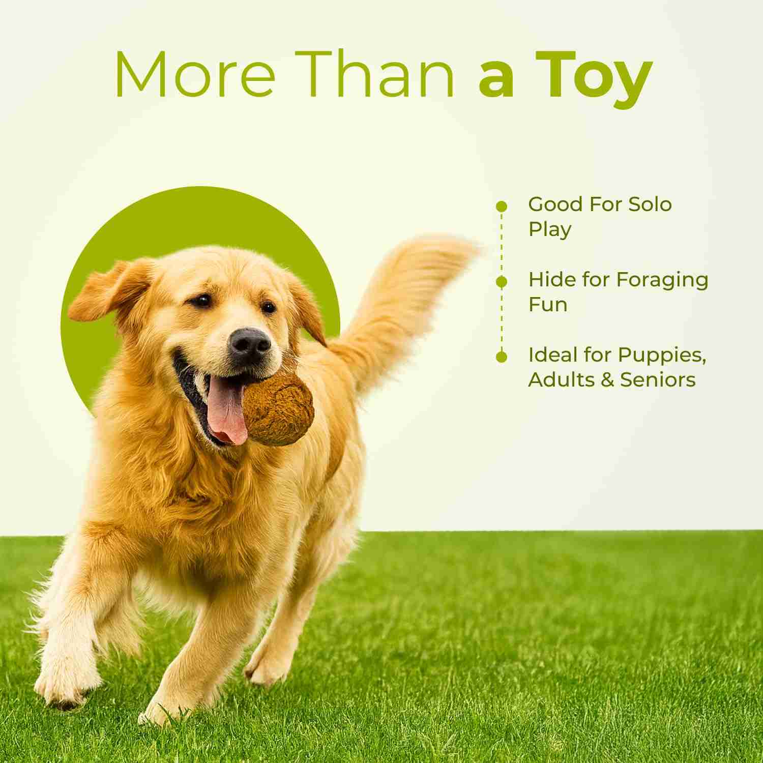 Human and The Beast The ORB Chew Clean Ball Toy for Dog