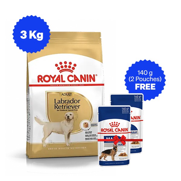 Royal Canin | Royal Canin Labrador Adult Dry Dog Food with Free Maxi Adult Gravy Pack