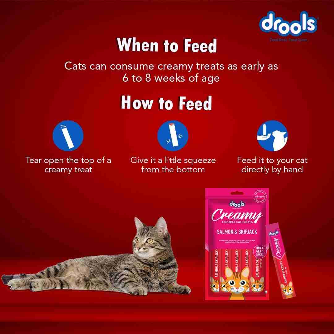 Drools Creamy Salmon & Skip Jack Lickable Cat Treat, 75g