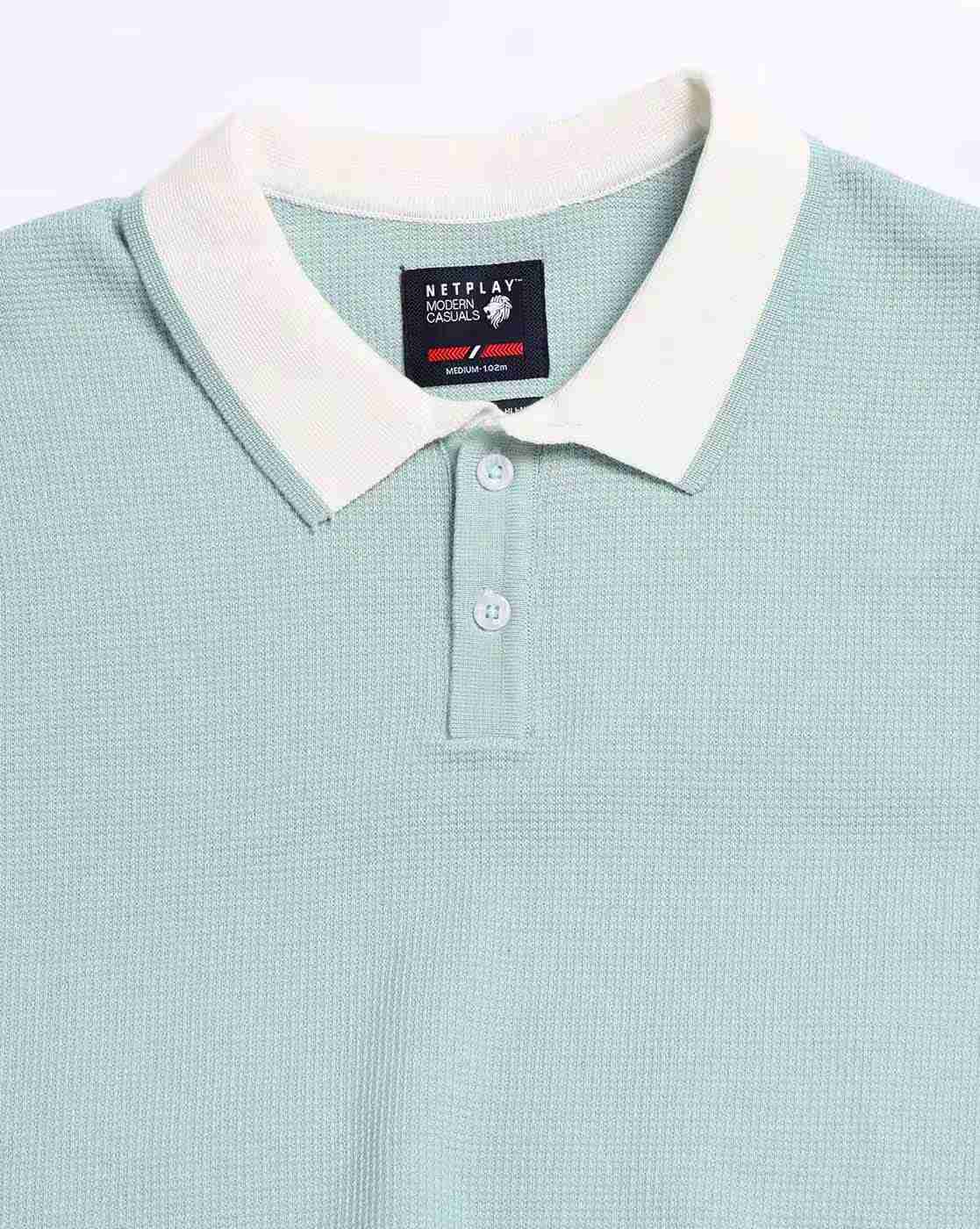 NETPLAY | Men Structured Checked Regular Fit Polo T-Shirt|4